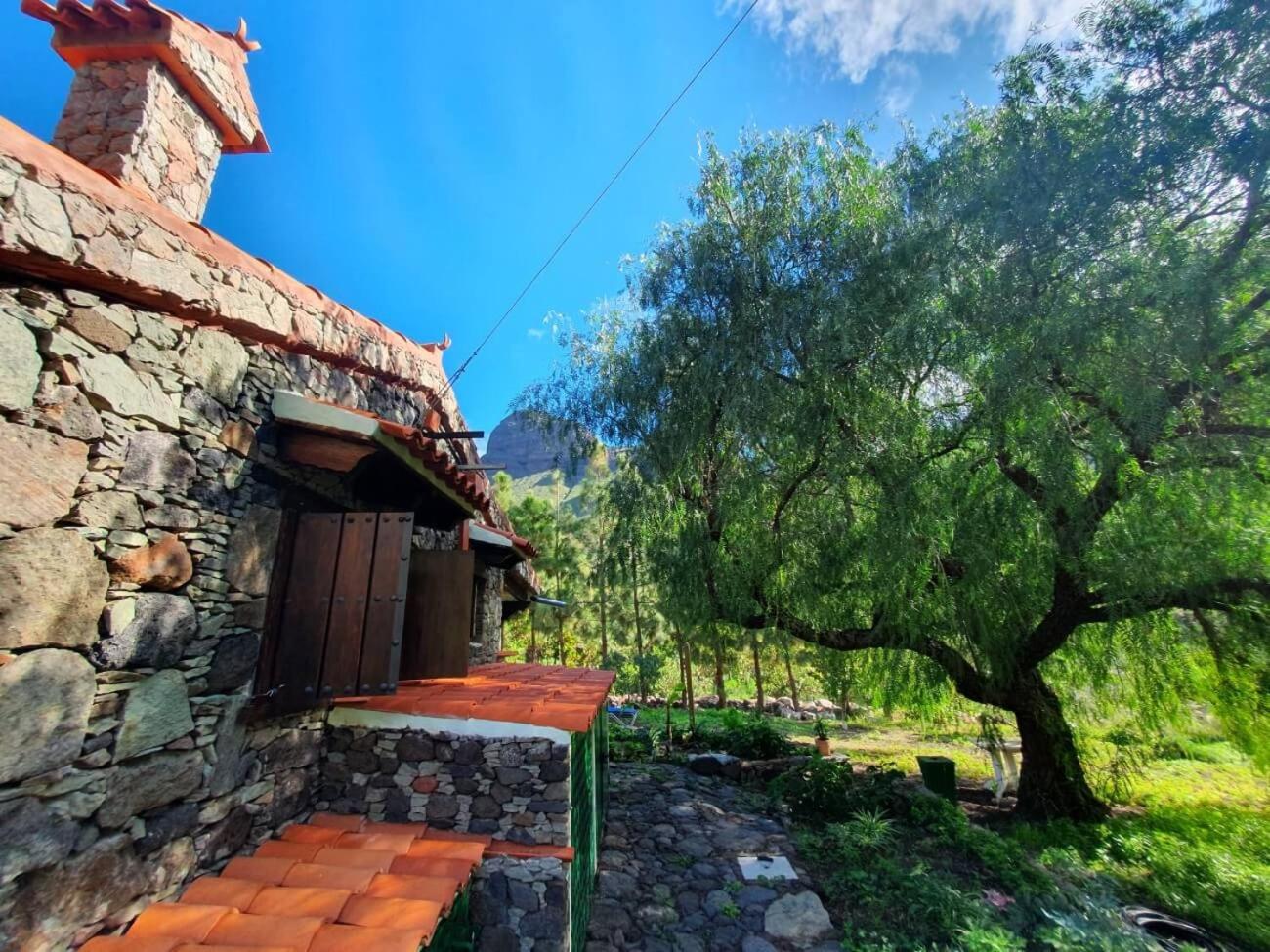 Finca Arenales by Villas Rivero view 4