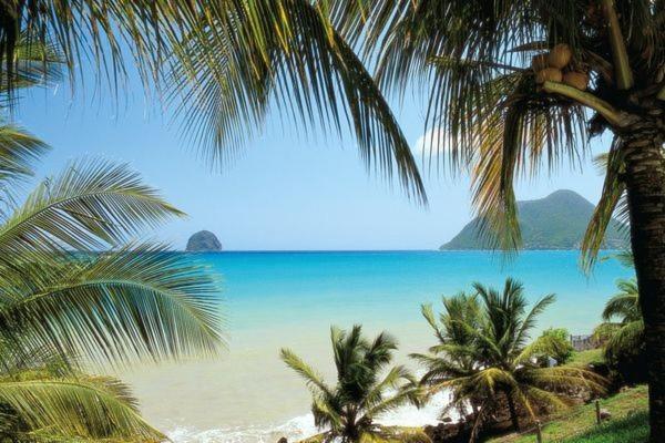 Le Diamant Bleu Marine view 4