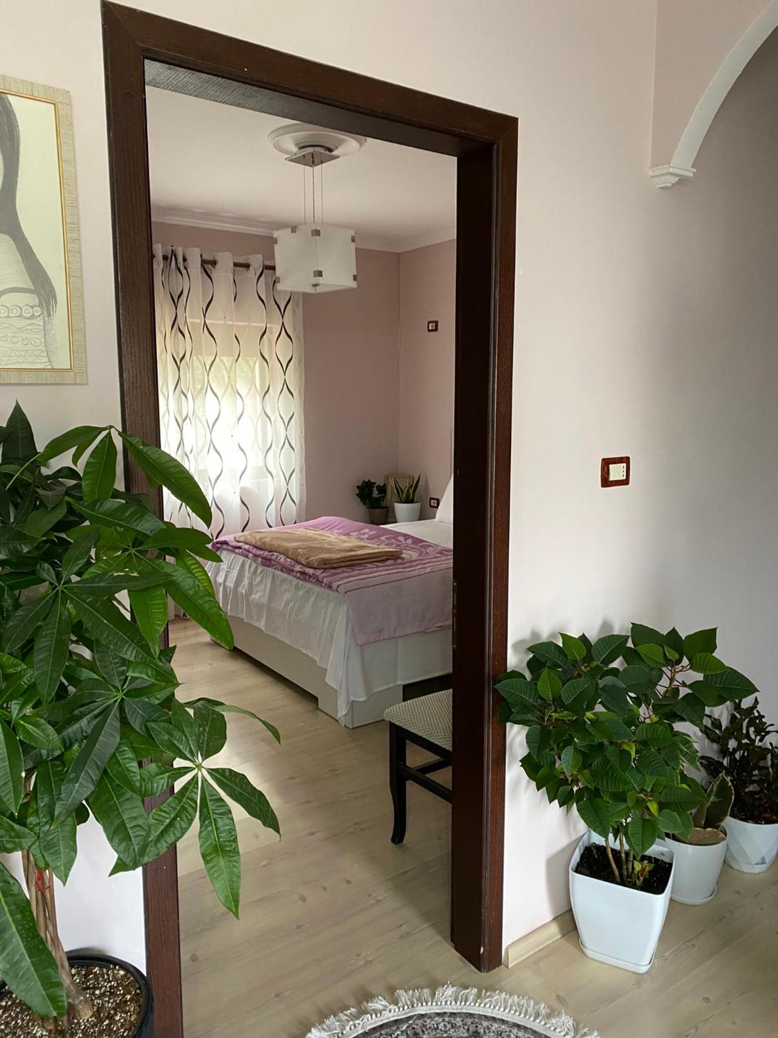 Dream Vila