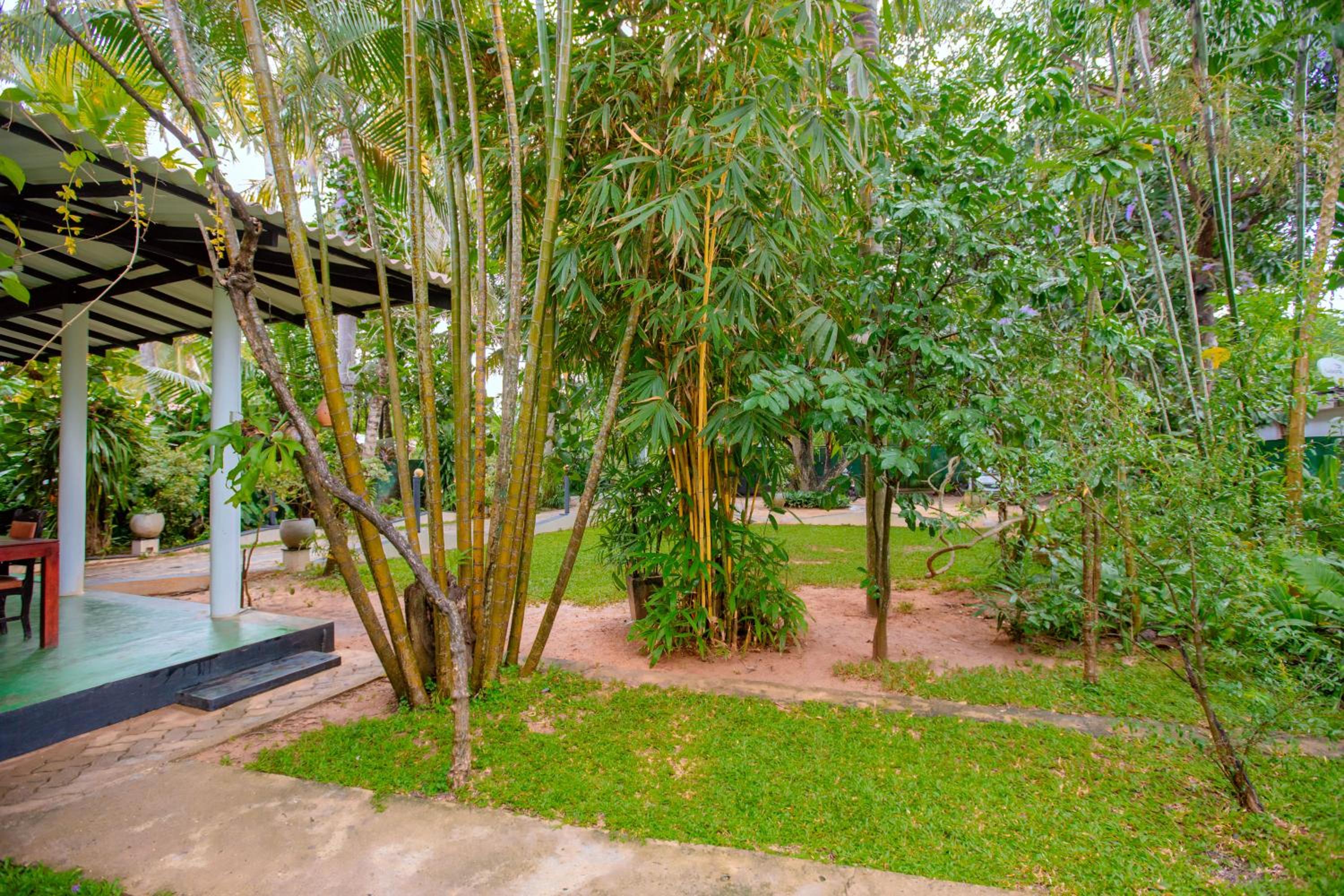 Yala River Face Inn