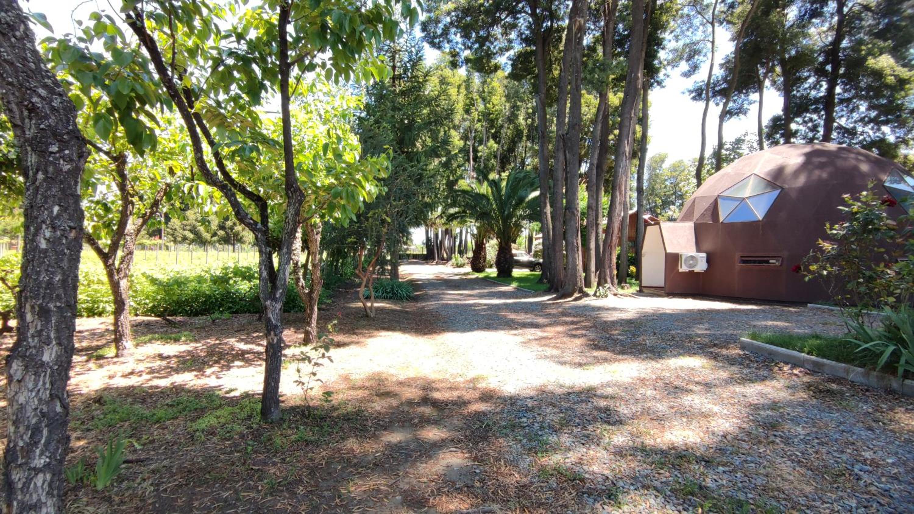 Cabaña las Araucarias