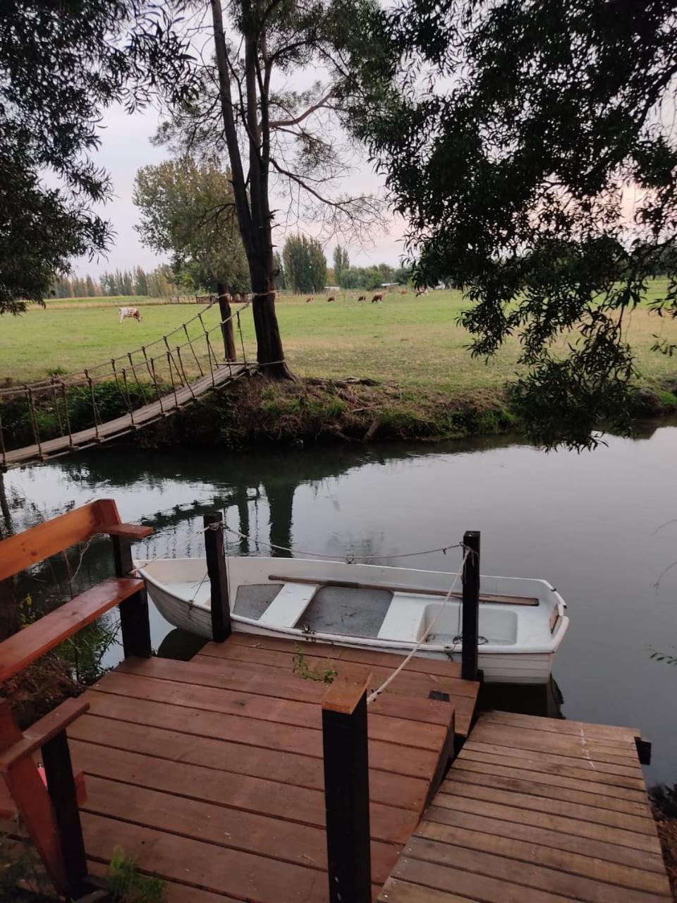 Cabaña las Araucarias