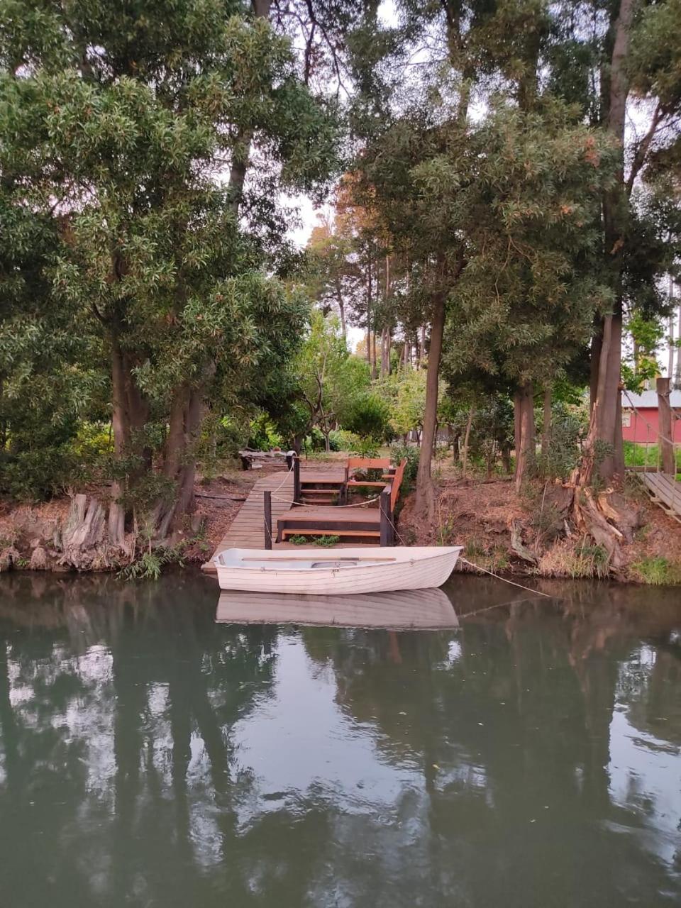 Cabaña las Araucarias