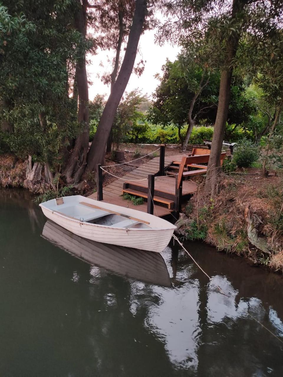 Cabaña las Araucarias