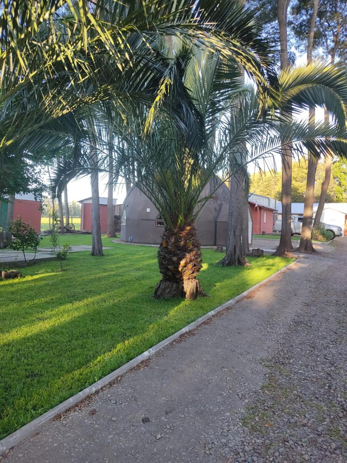 Cabaña las Araucarias