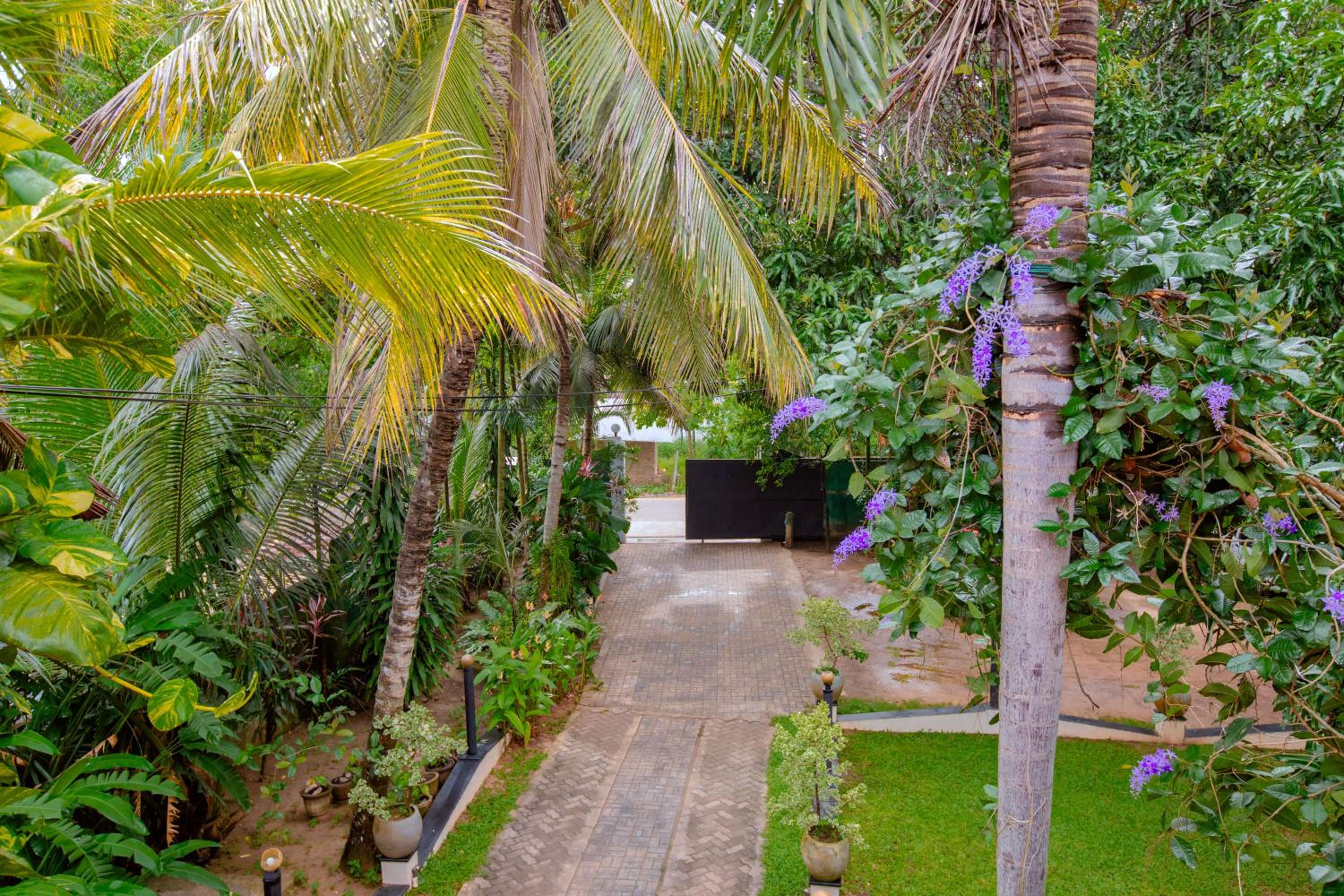 Yala River Face Inn