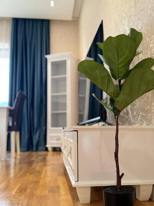 Luxury Serenity - 16th Floor Apt in City Center
