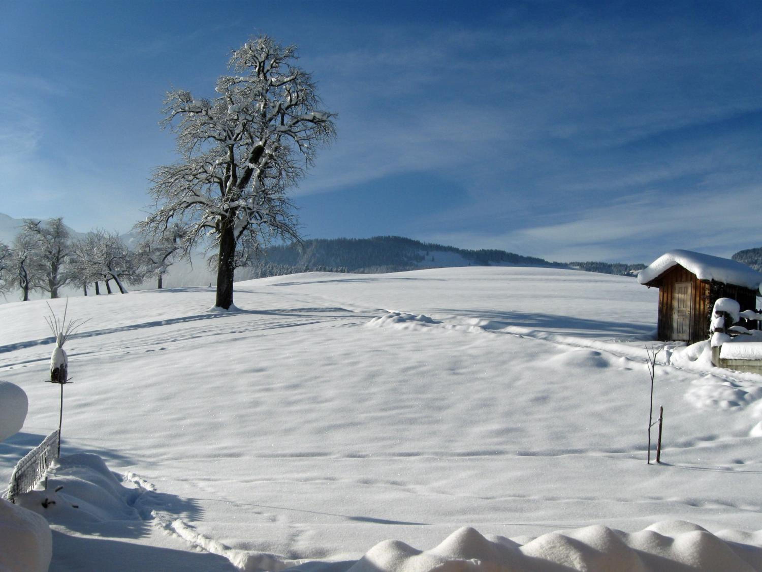 Schweizer Hof