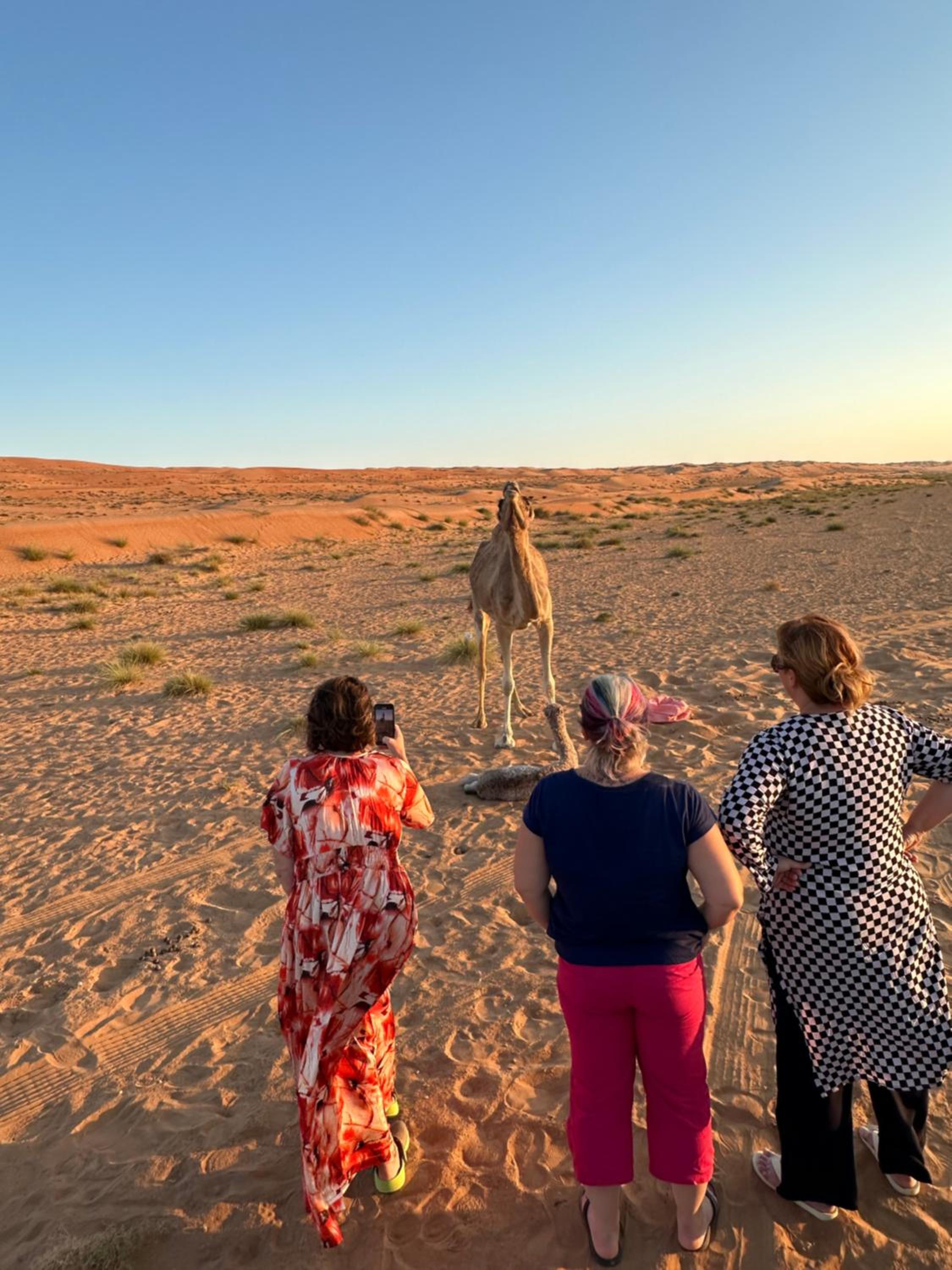 Golden dune Bedouin camp view 4