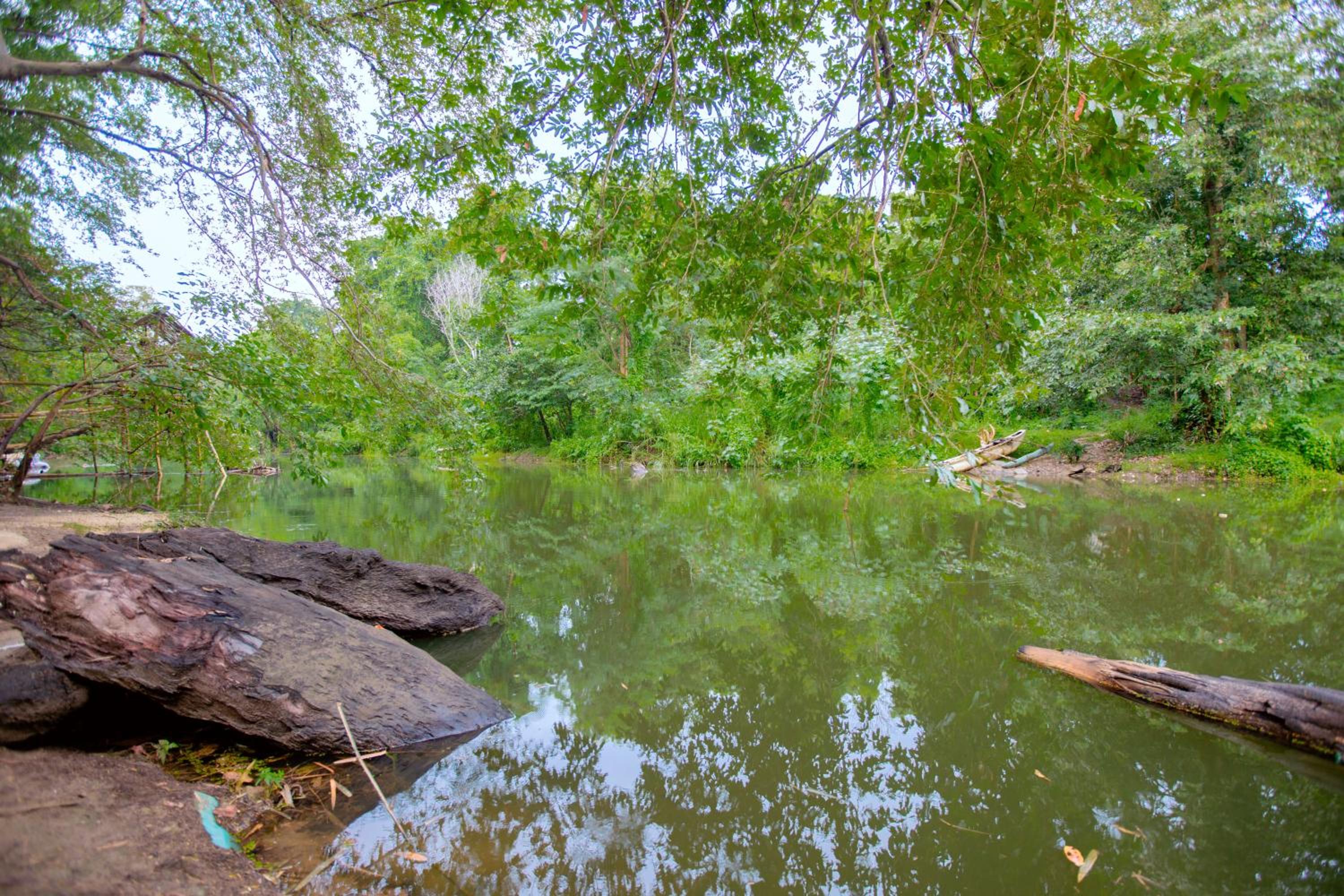 Yala River Face Inn