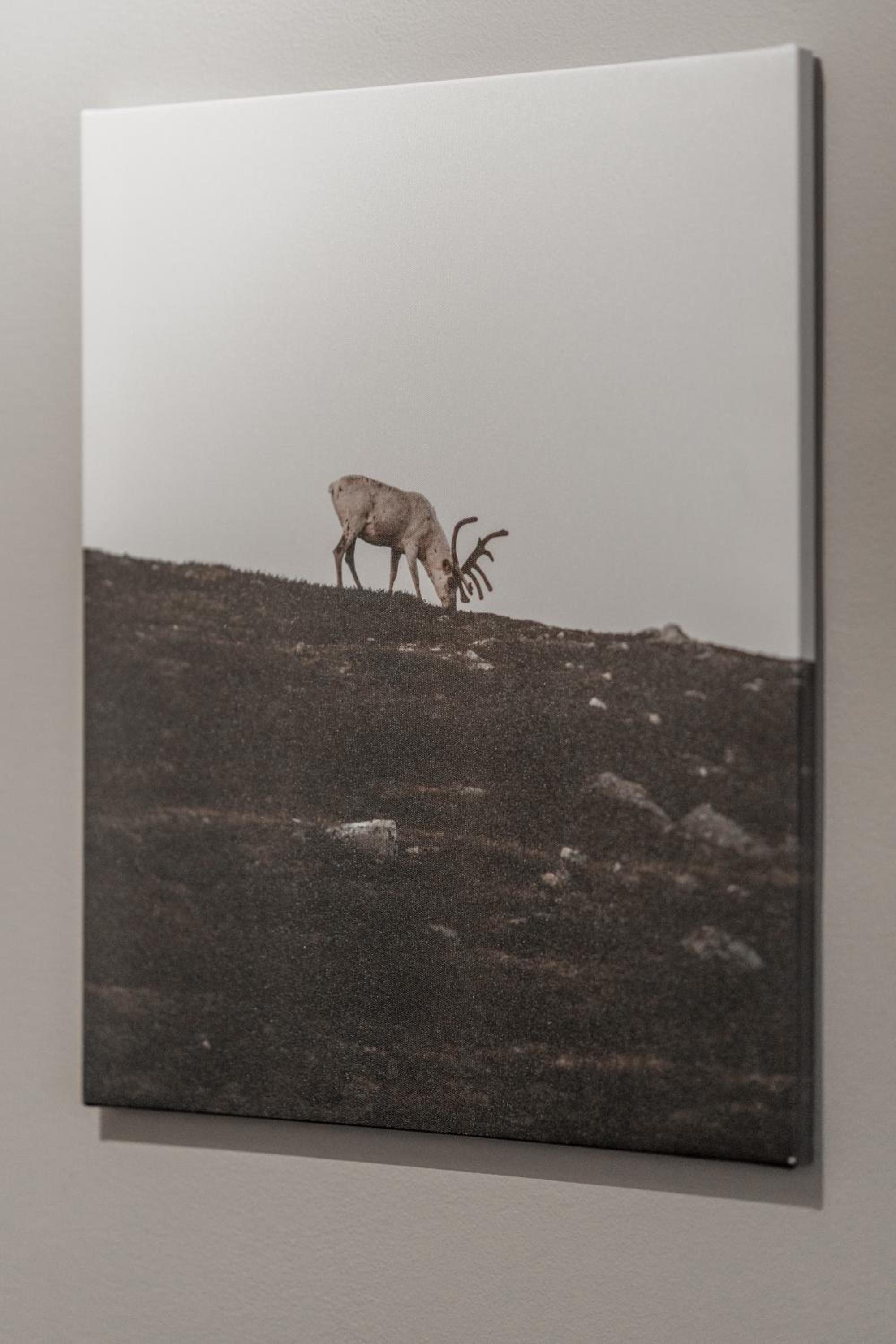 CityCenter Family apartment, three bedrooms up to 8 people, free parking and Wifi