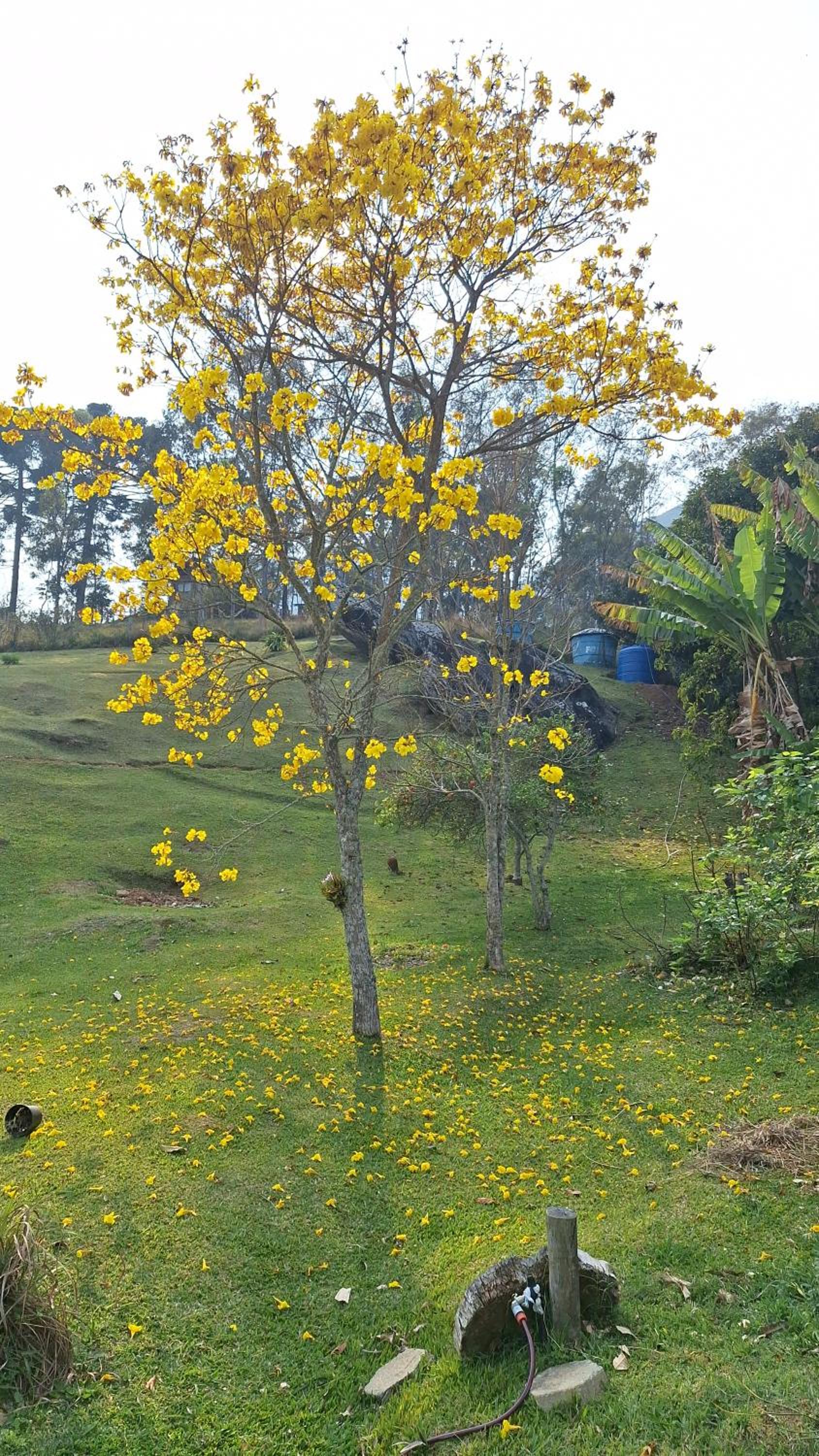 Pousada VISTA LINDA