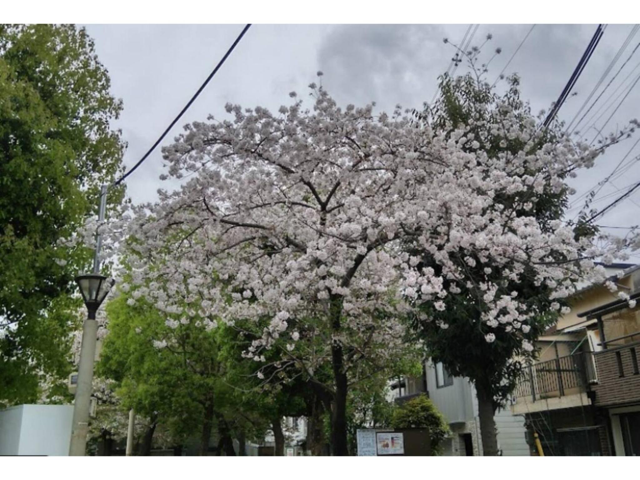Goodfellas Inn Osaka - Vacation STAY 17829