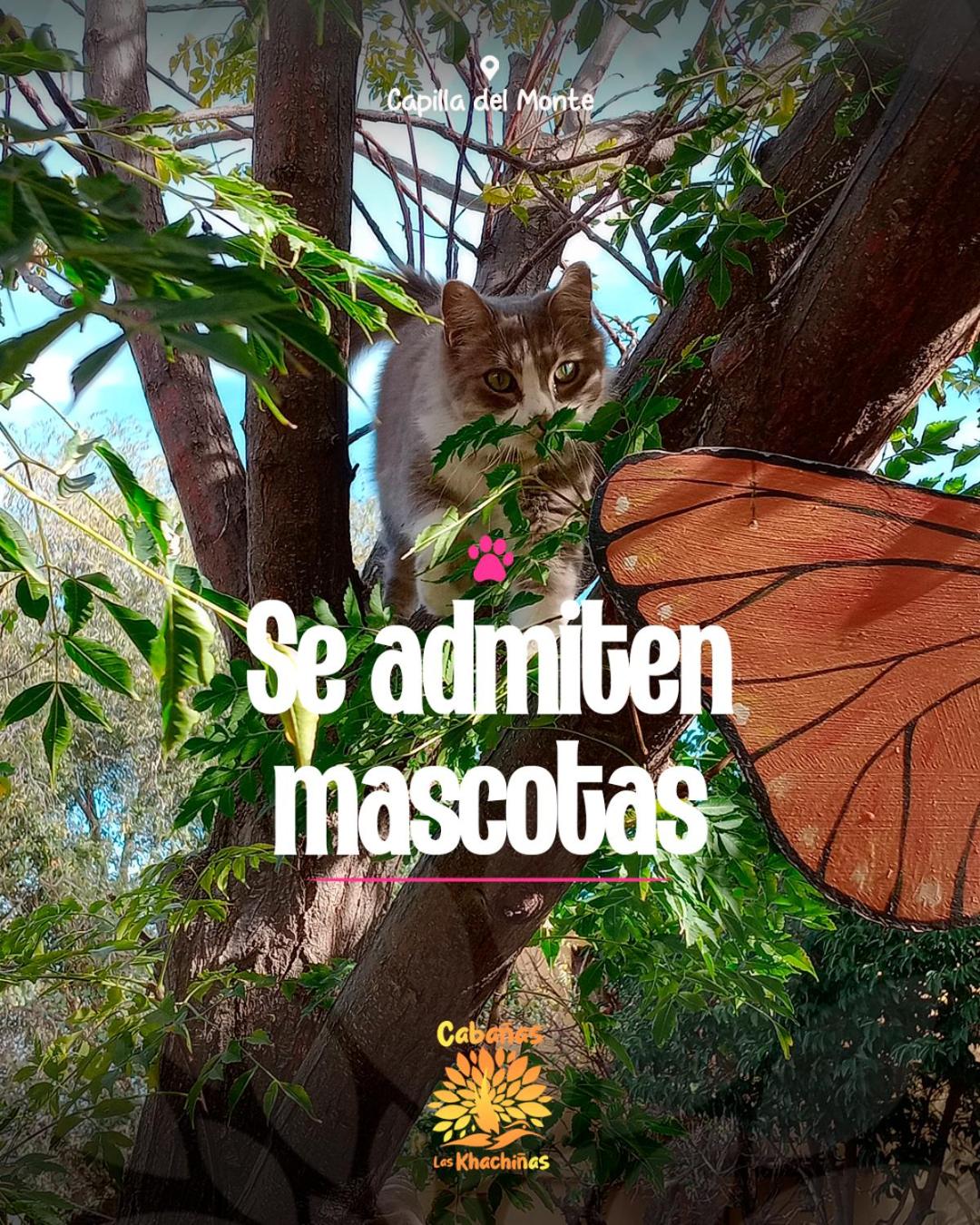 Cabaña Las Kachiñas