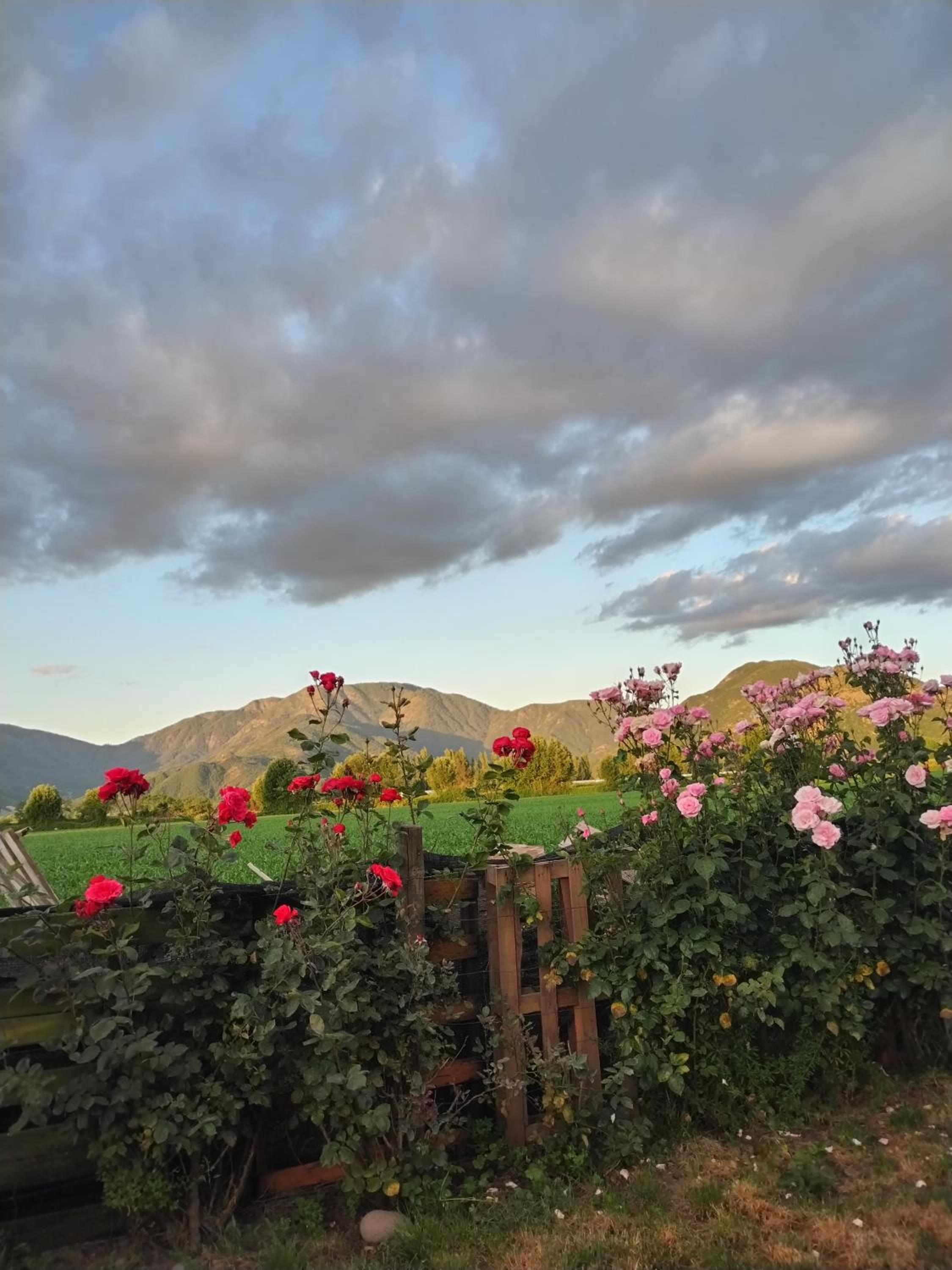 Estancia Serene