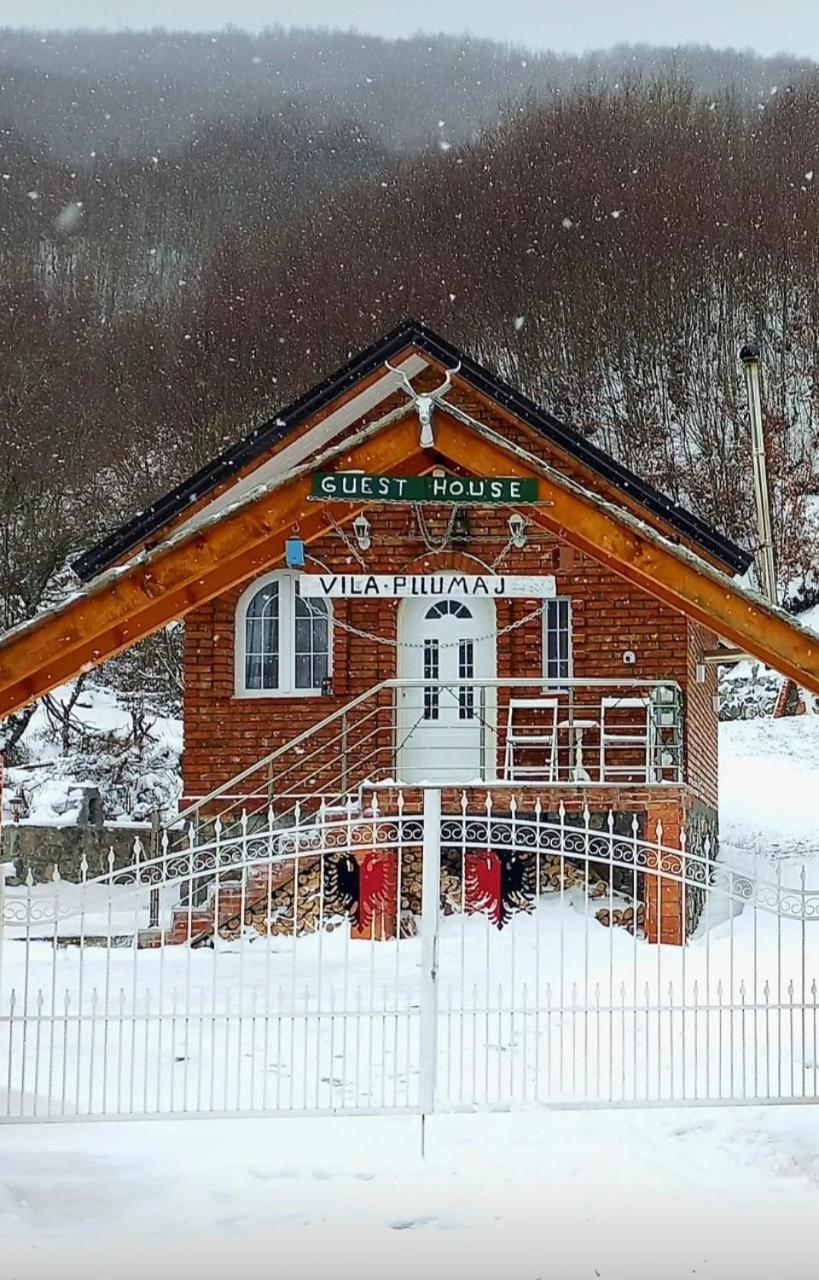 Vilat Pllumaj