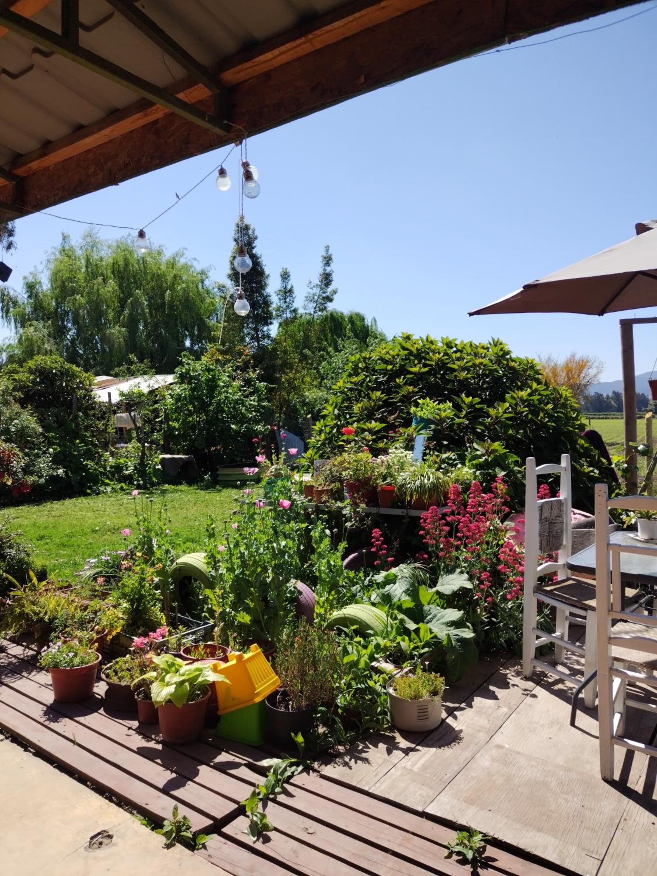Estancia Serene