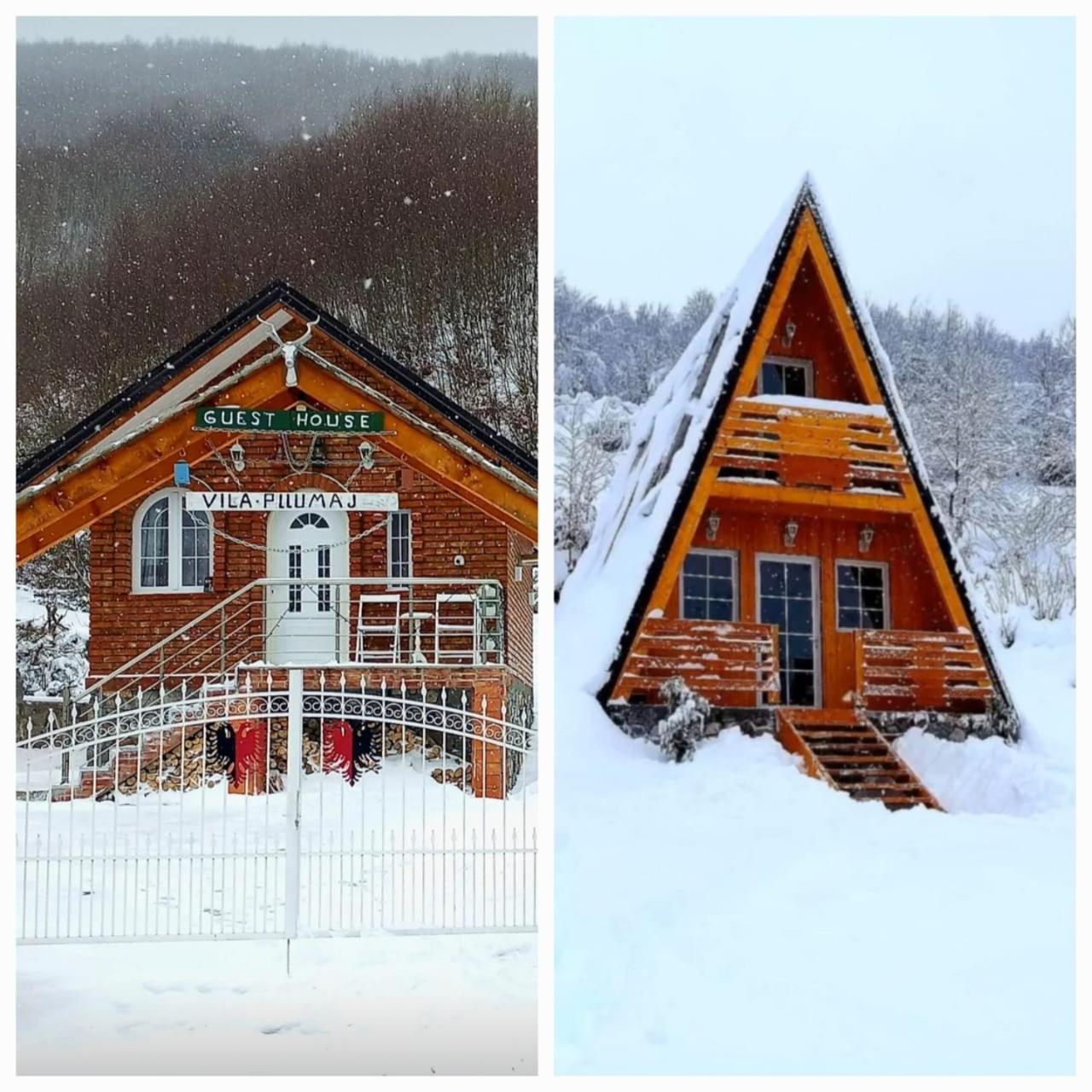Vilat Pllumaj