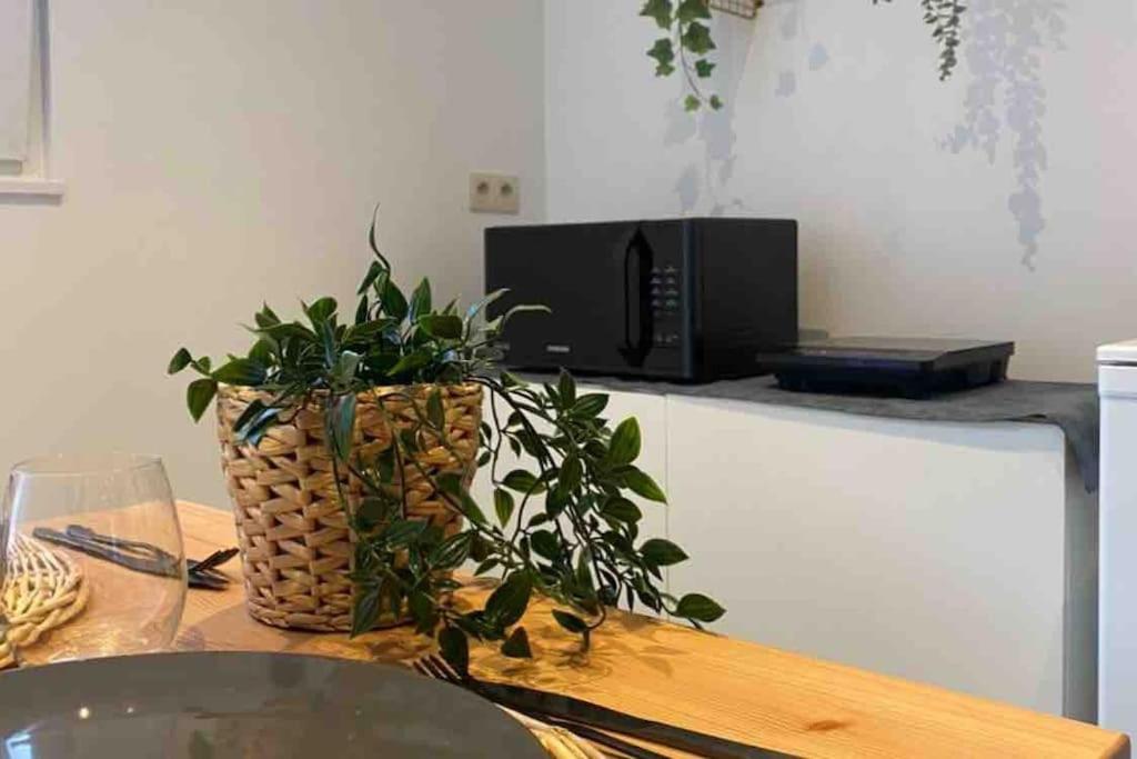 Superbe appartement full équipé avec une cour extérieur