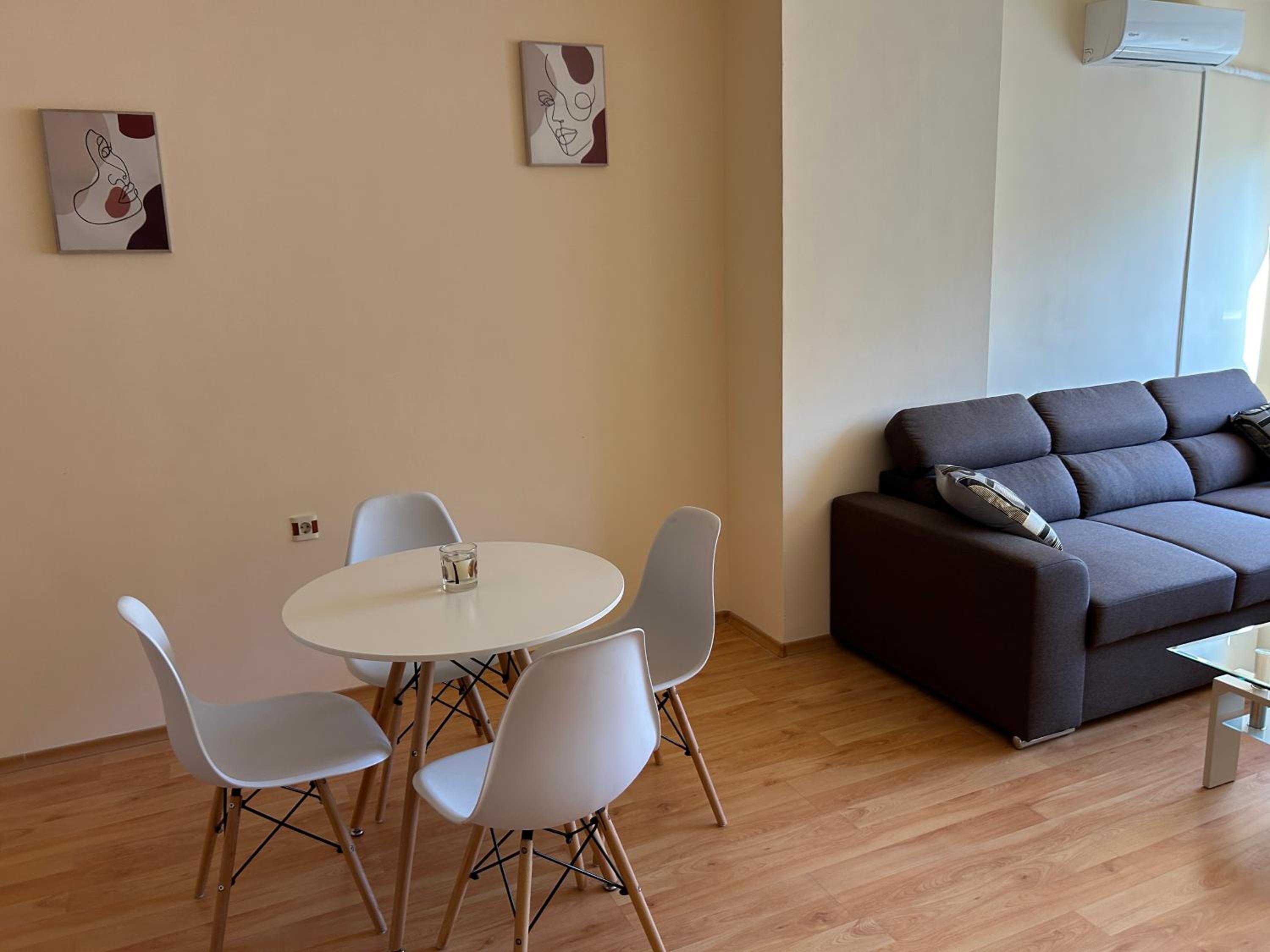 Nice, Spacious and Cozy Apartment