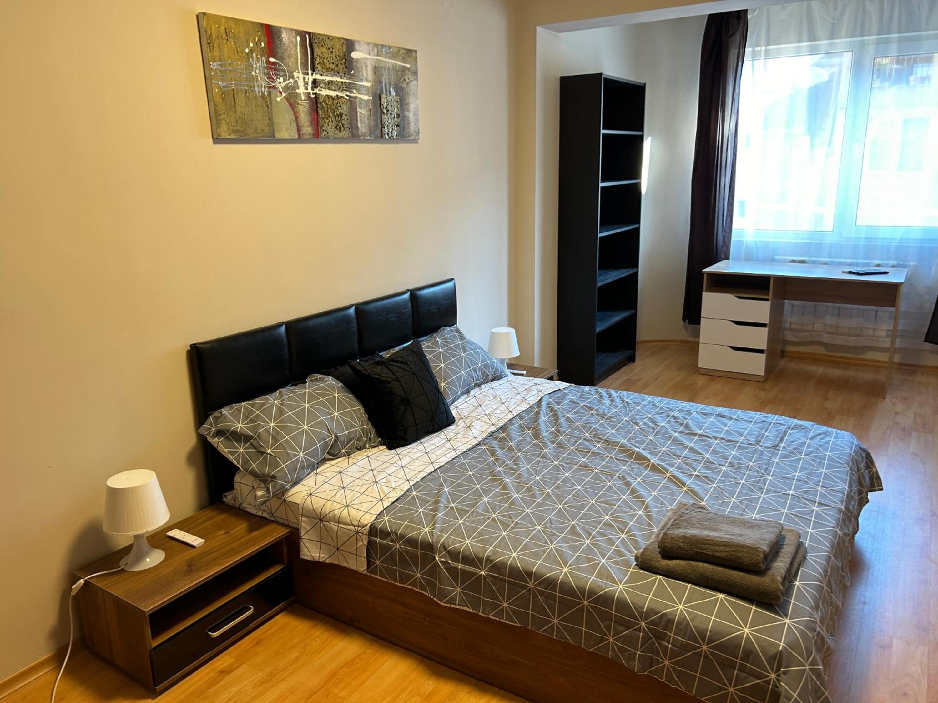Nice, Spacious and Cozy Apartment