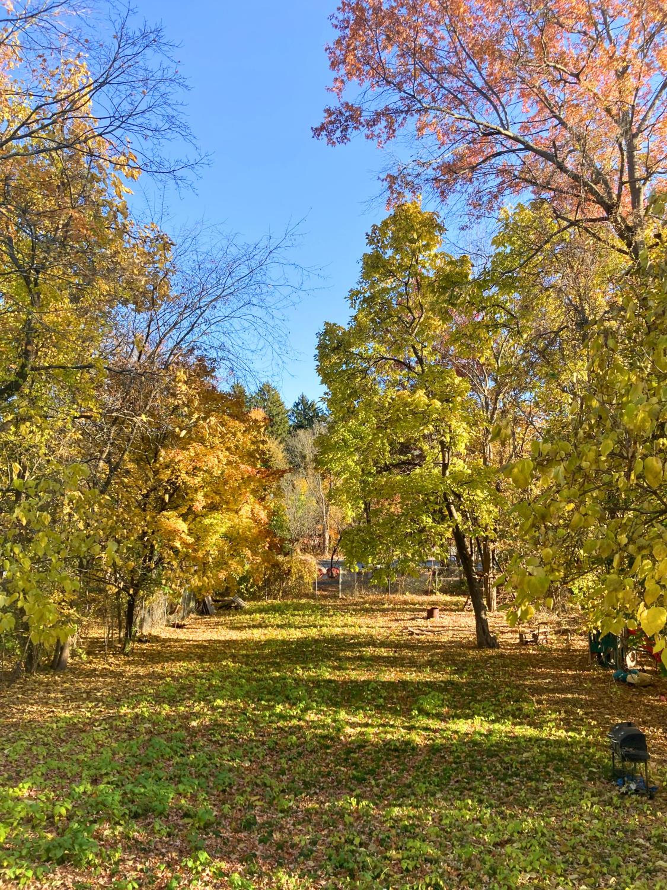 Chic Downtown Retreat Furnished 2-Bedroom with Trail Access & Outdoor Oasis view 2