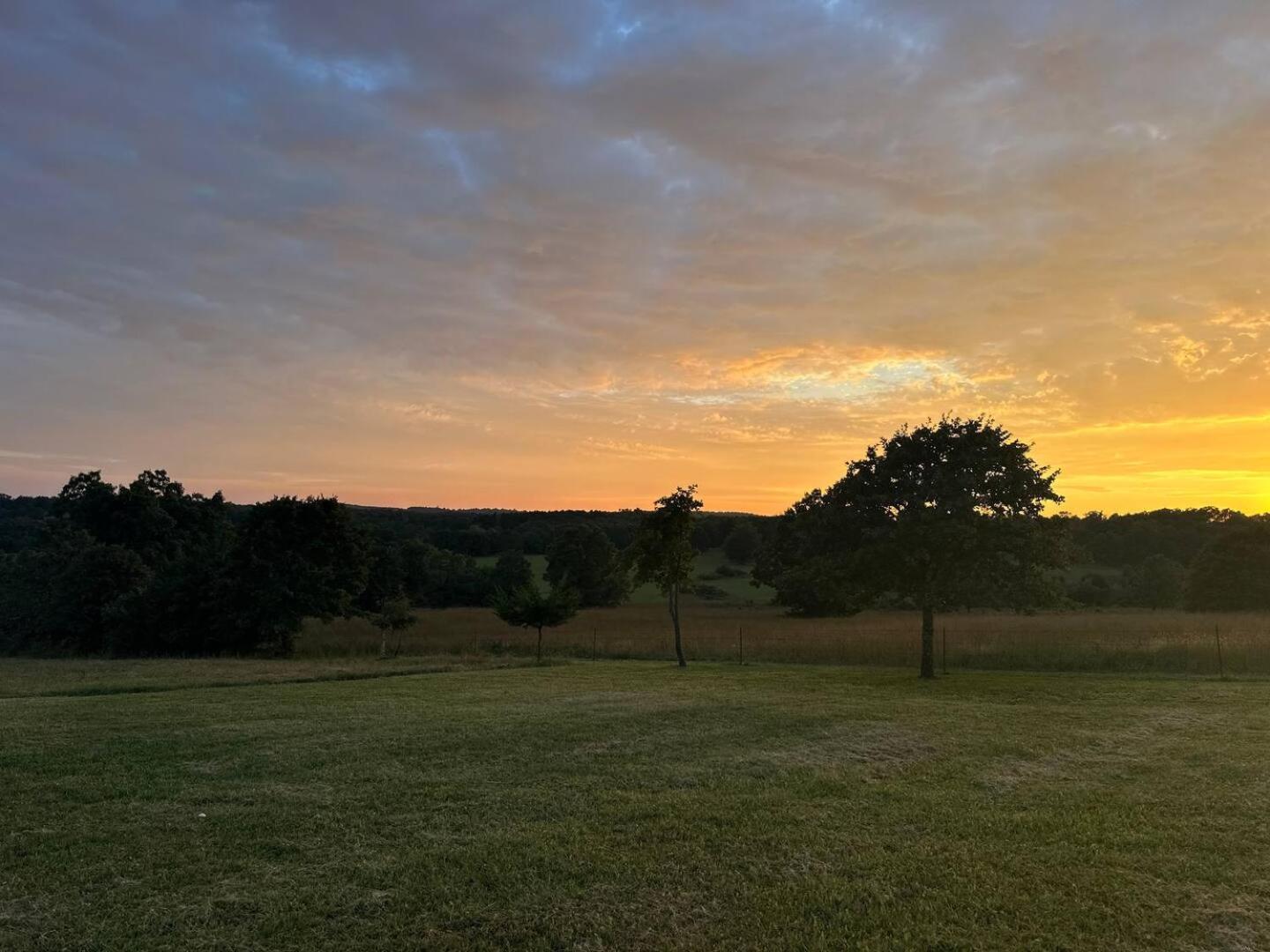 Near Buffalo River King Bed Sleeps 5 Secluded view 5