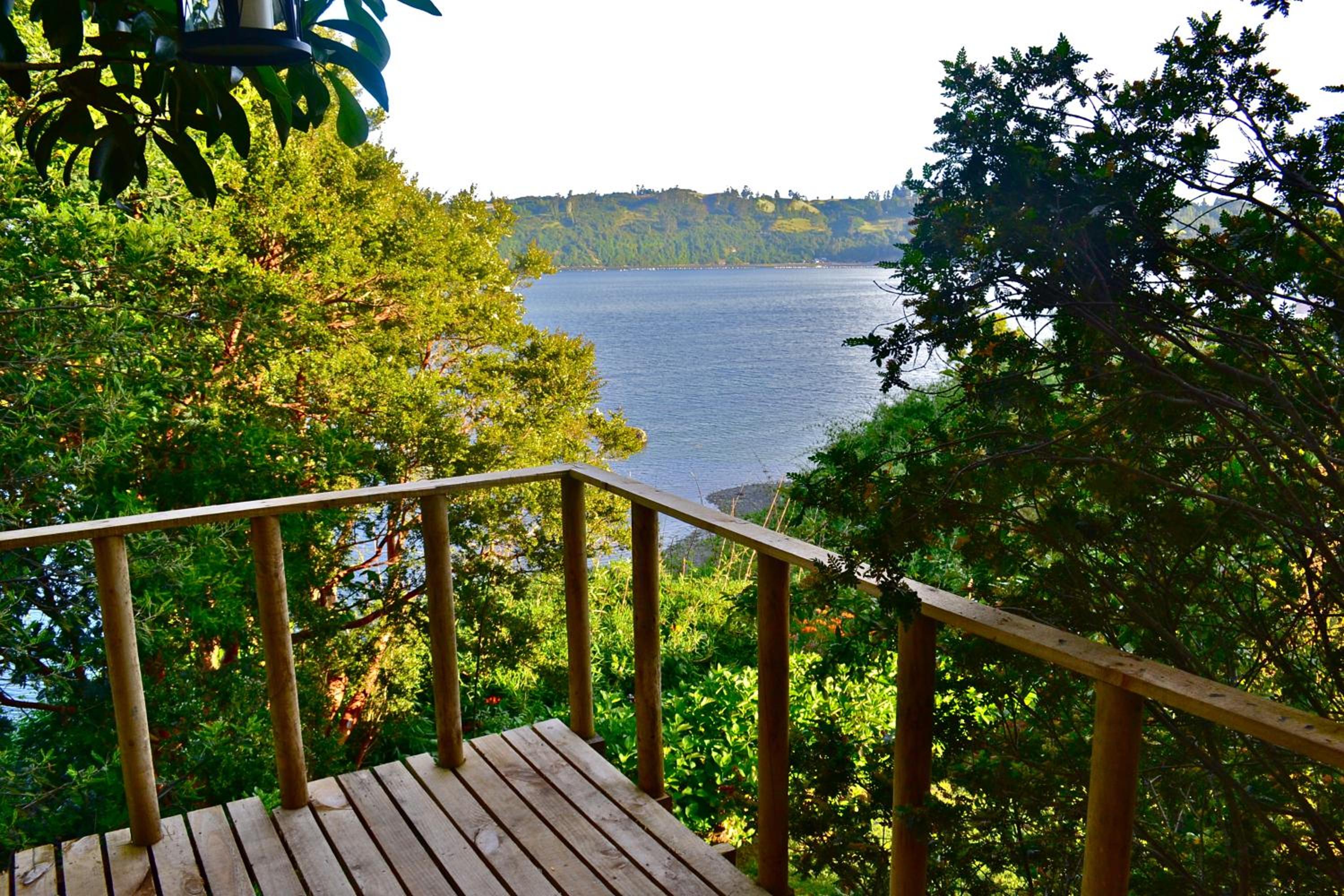 La Casa Del Árbol De Chiloé