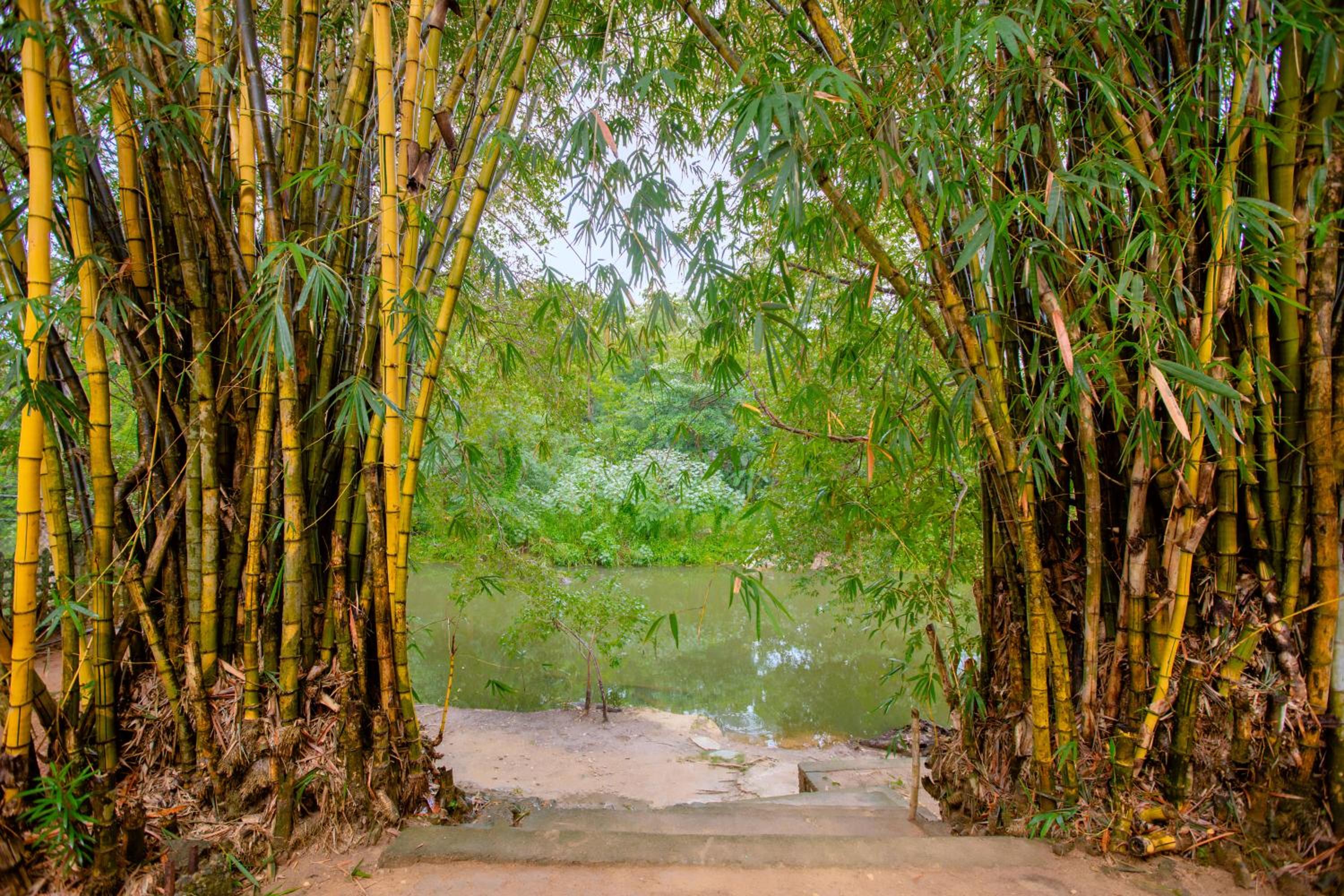 Yala River Face Inn