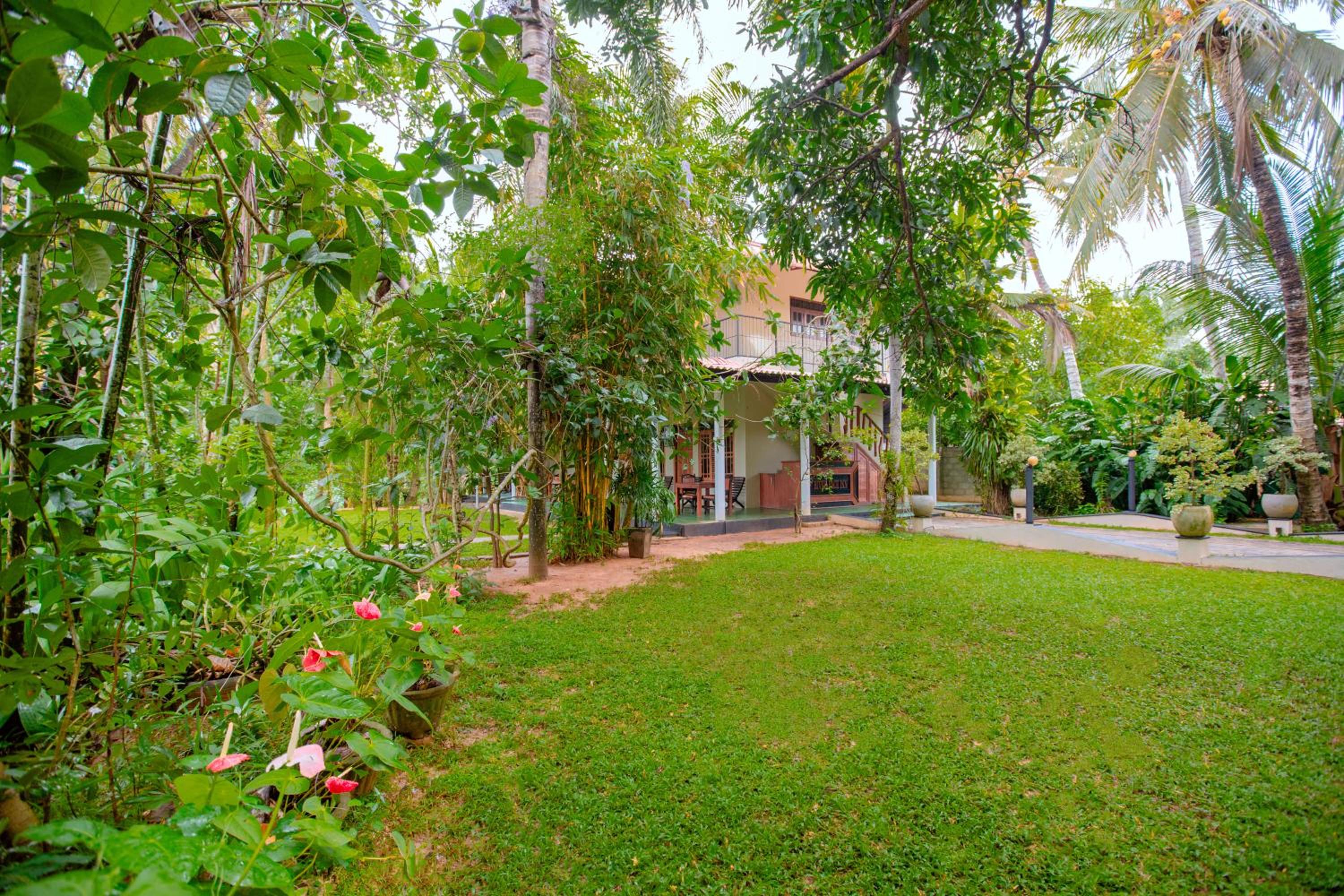 Yala River Face Inn