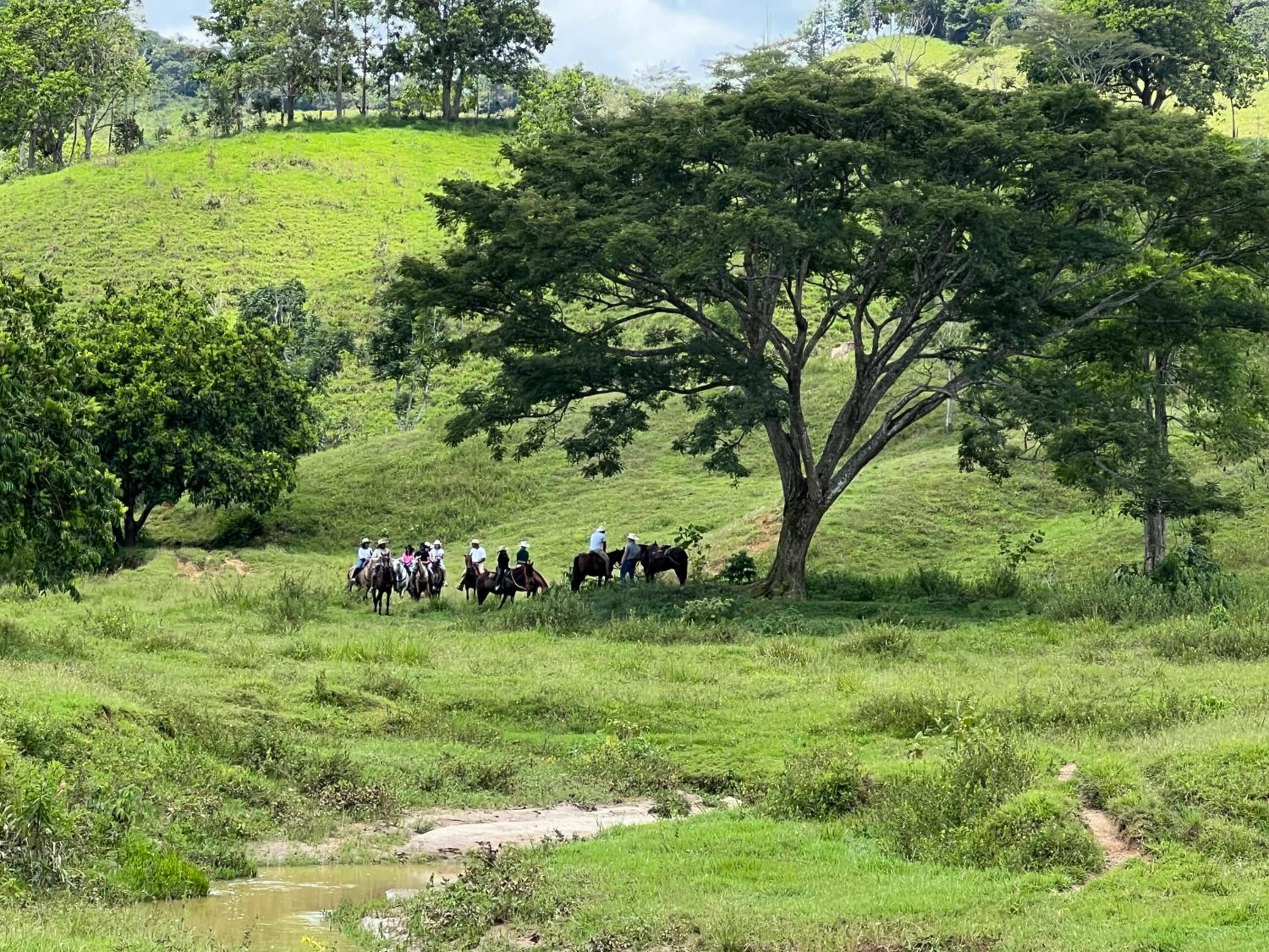 Finca Hotel Sawa