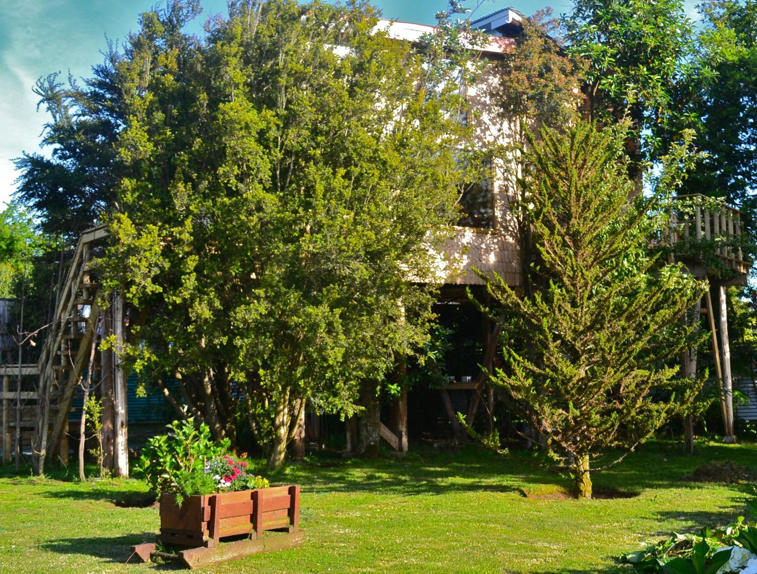 La Casa Del Árbol De Chiloé