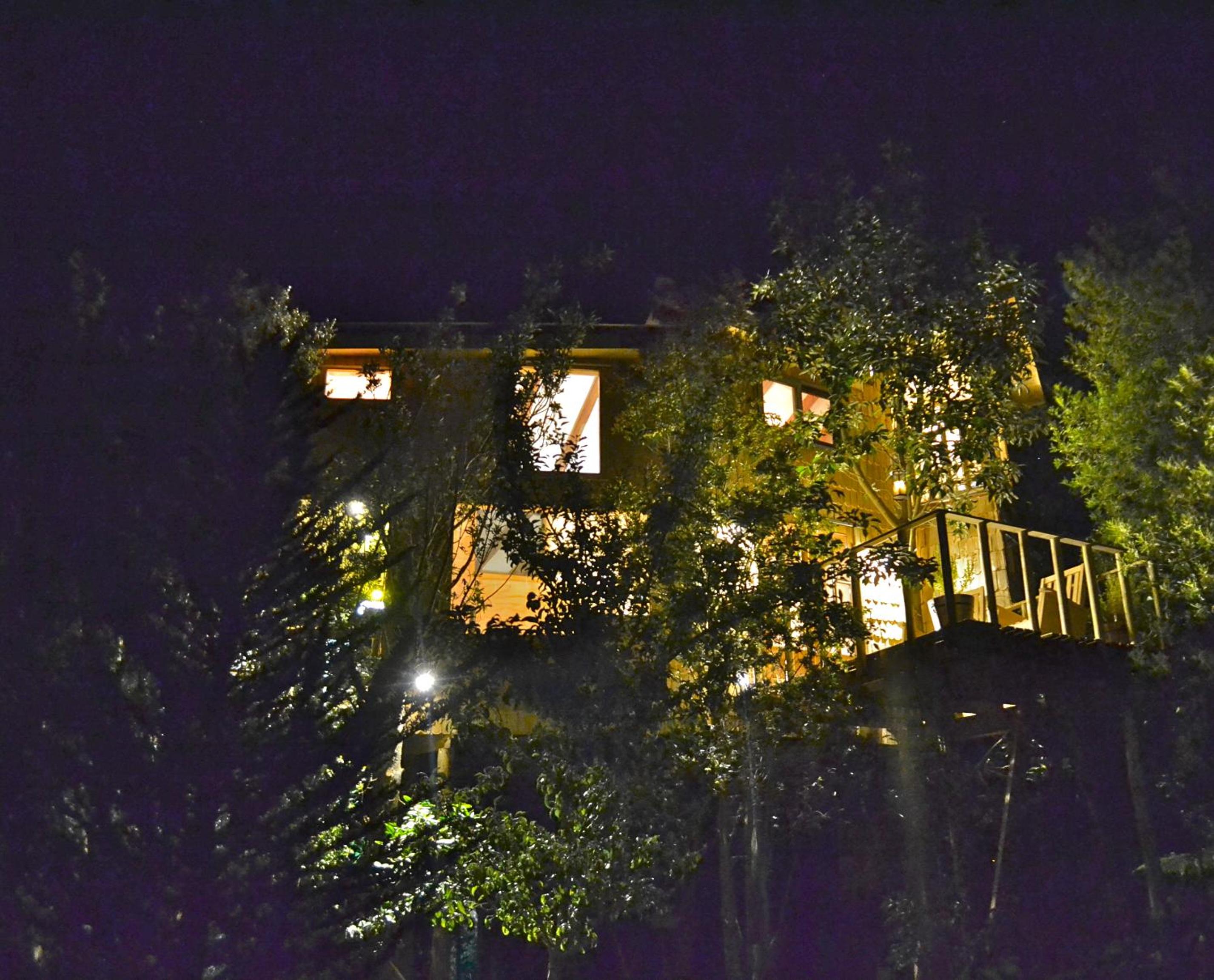 La Casa Del Árbol De Chiloé