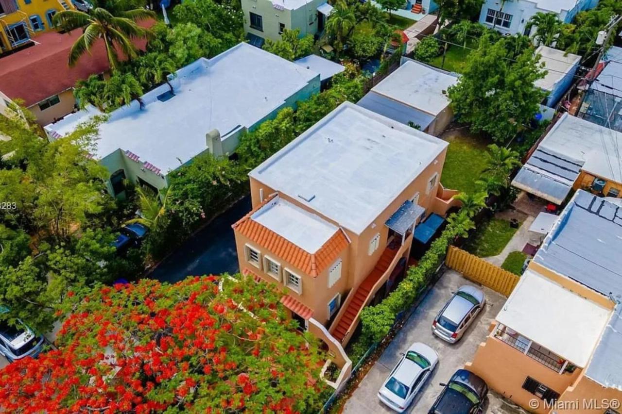 Hidden Tropical Gem Calle Ocho 1