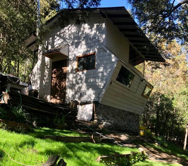 Cabaña Huillin, Experiencia única del Bosque