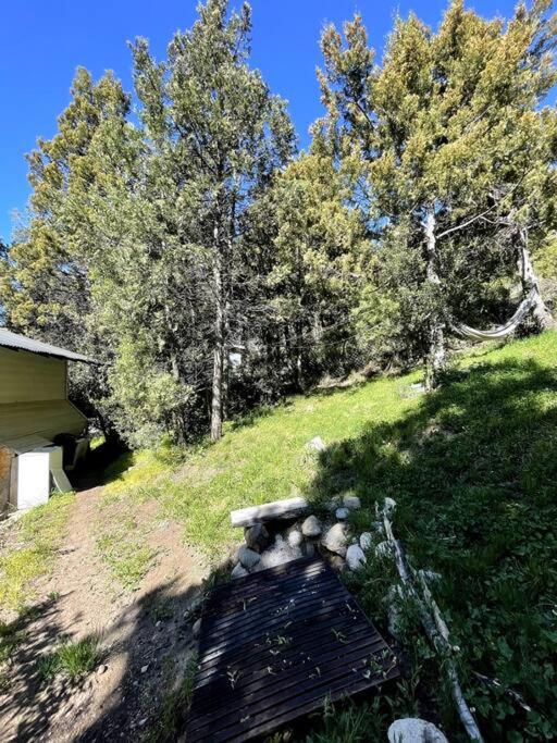 Cabaña Huillin, Experiencia única del Bosque