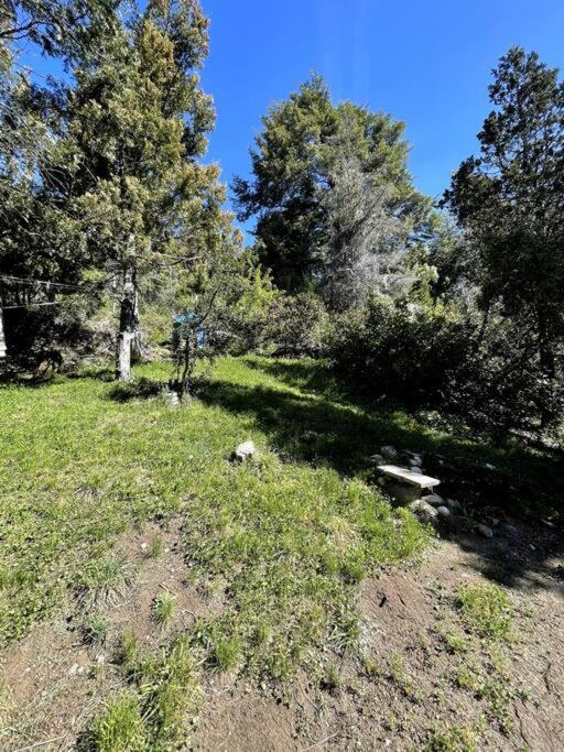 Cabaña Huillin, Experiencia única del Bosque