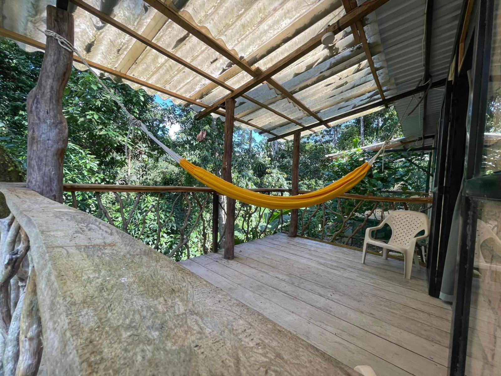 Cabañas el arbol de los micos