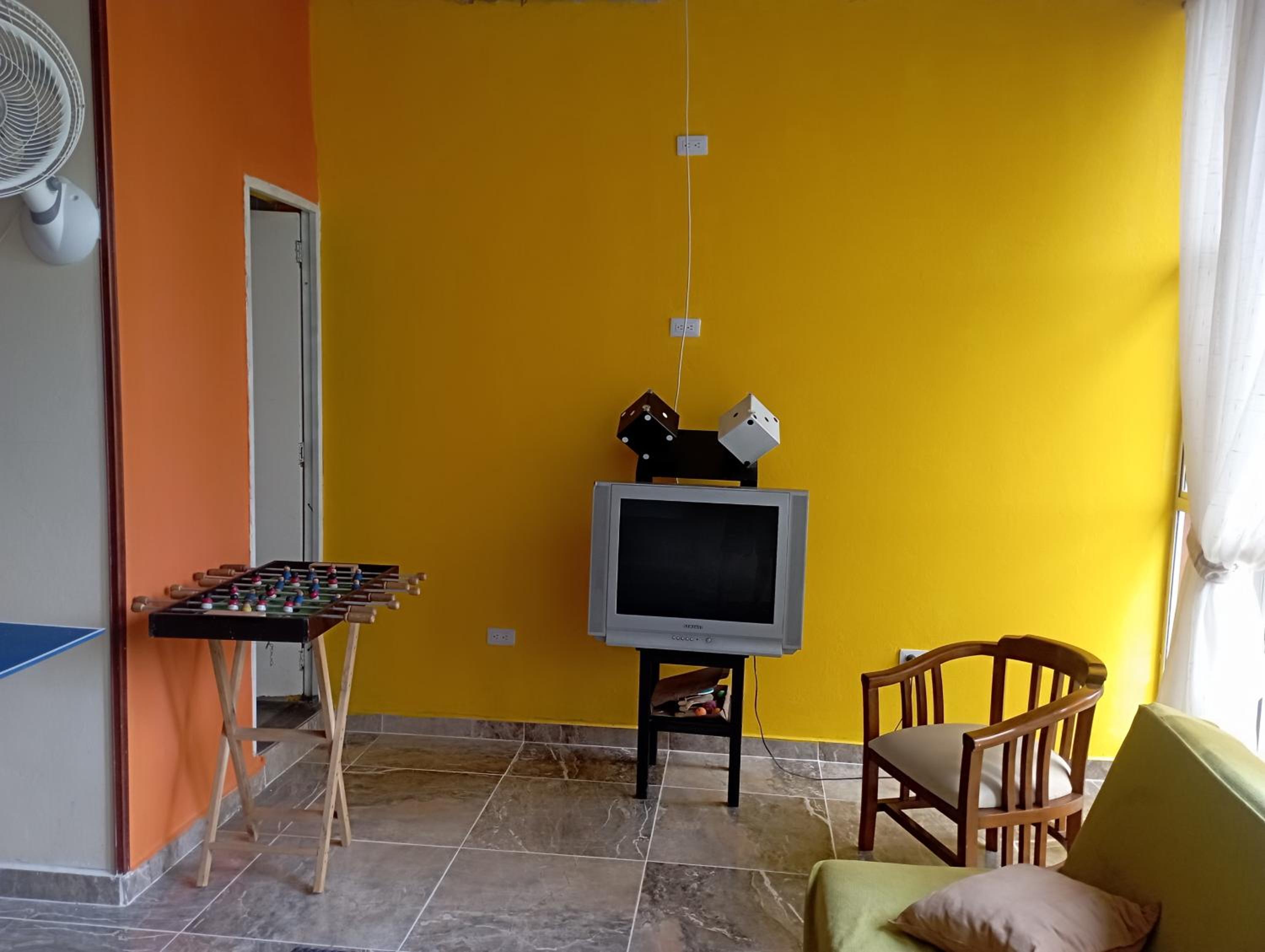 Lindas palmas