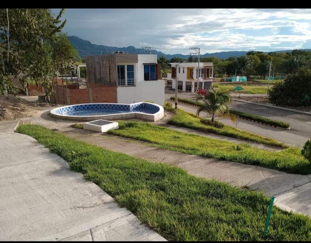 Lindas palmas