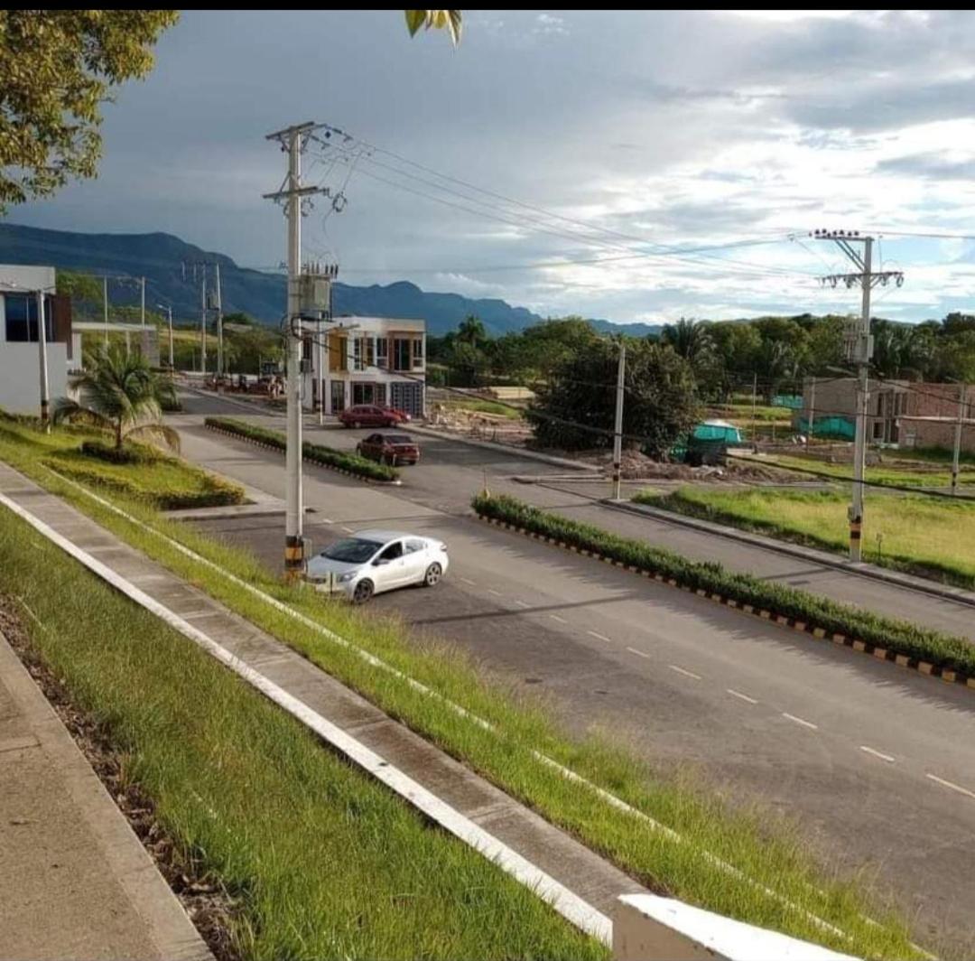 Lindas palmas