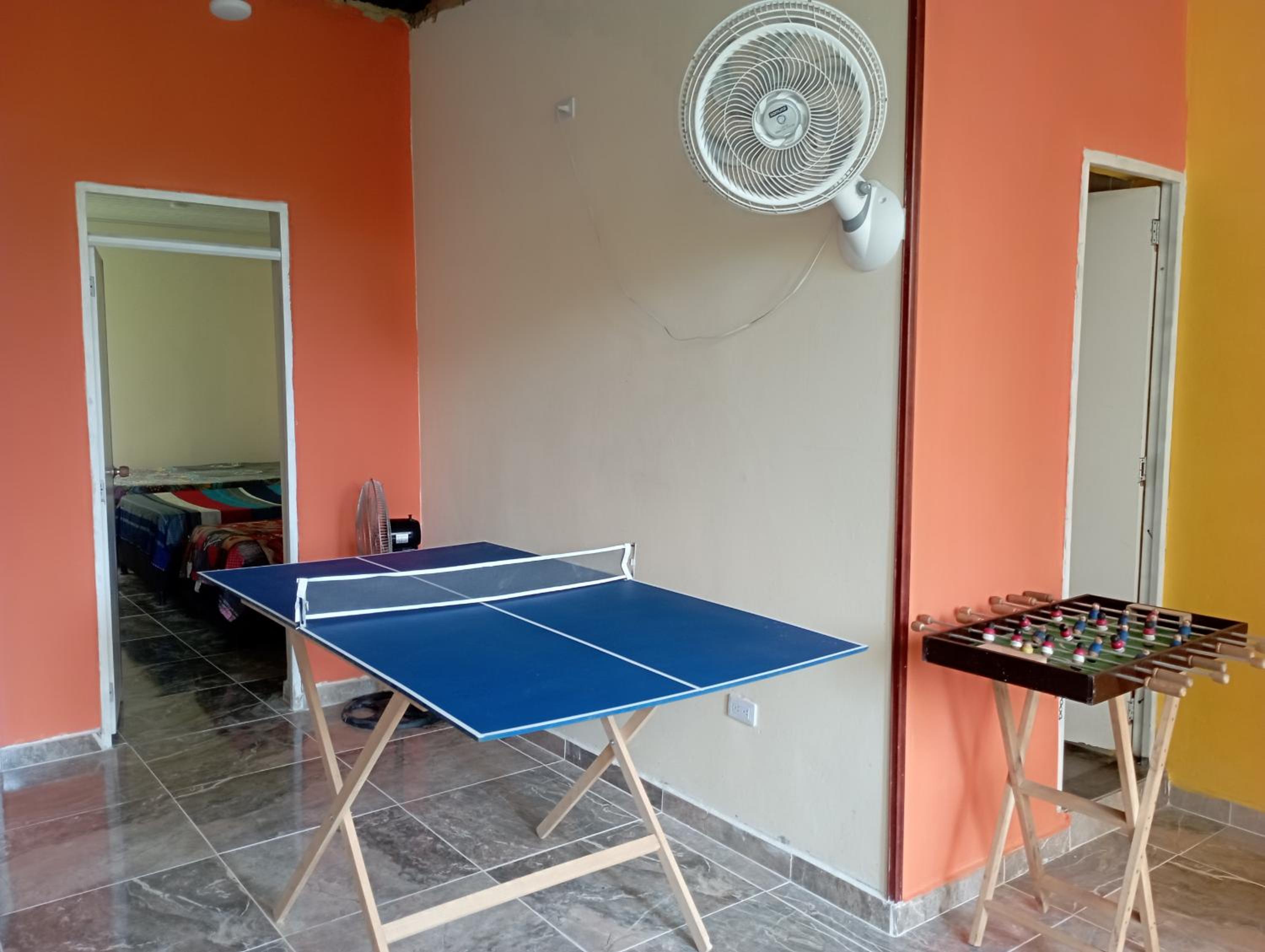 Lindas palmas