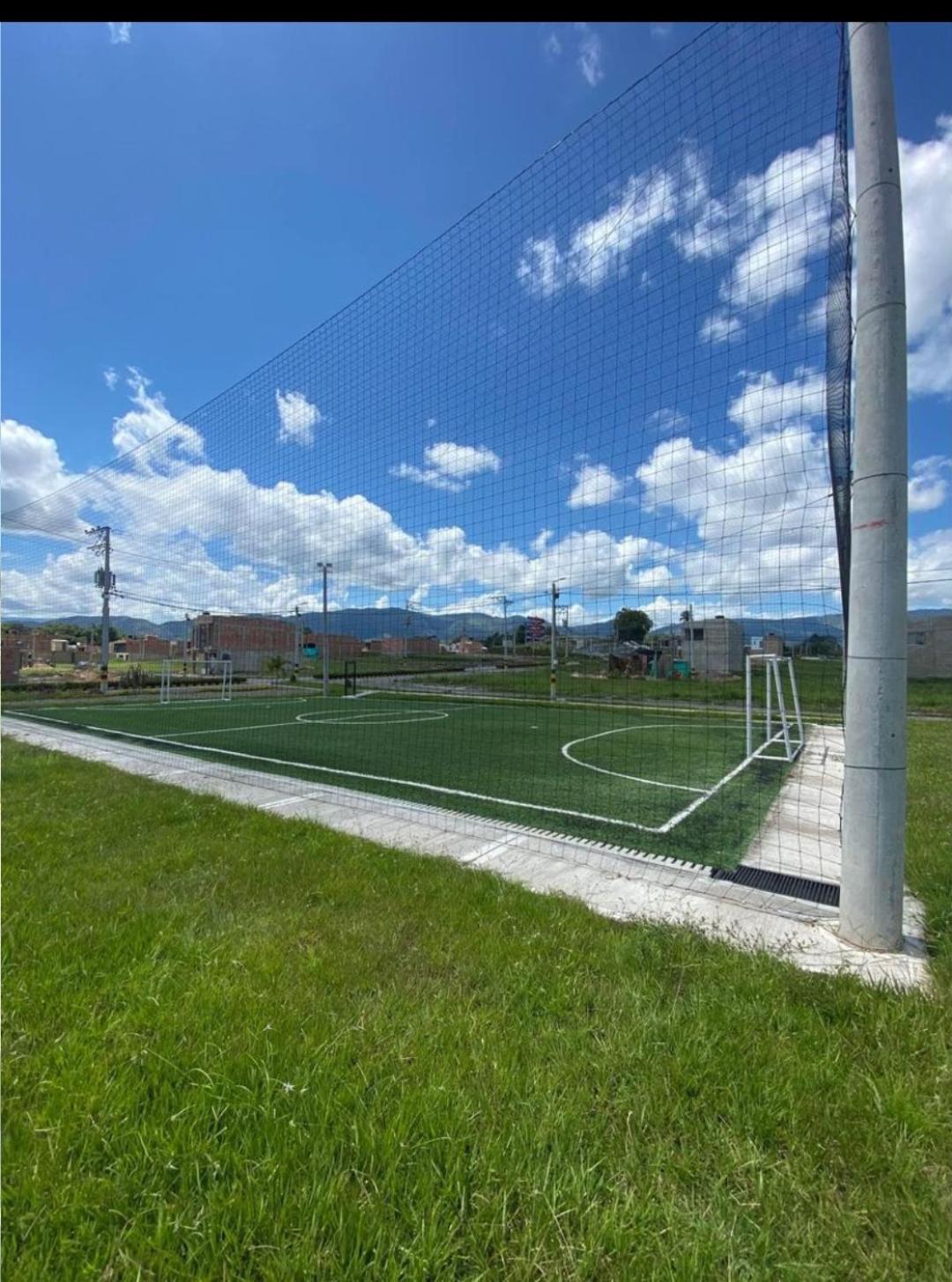 Lindas palmas