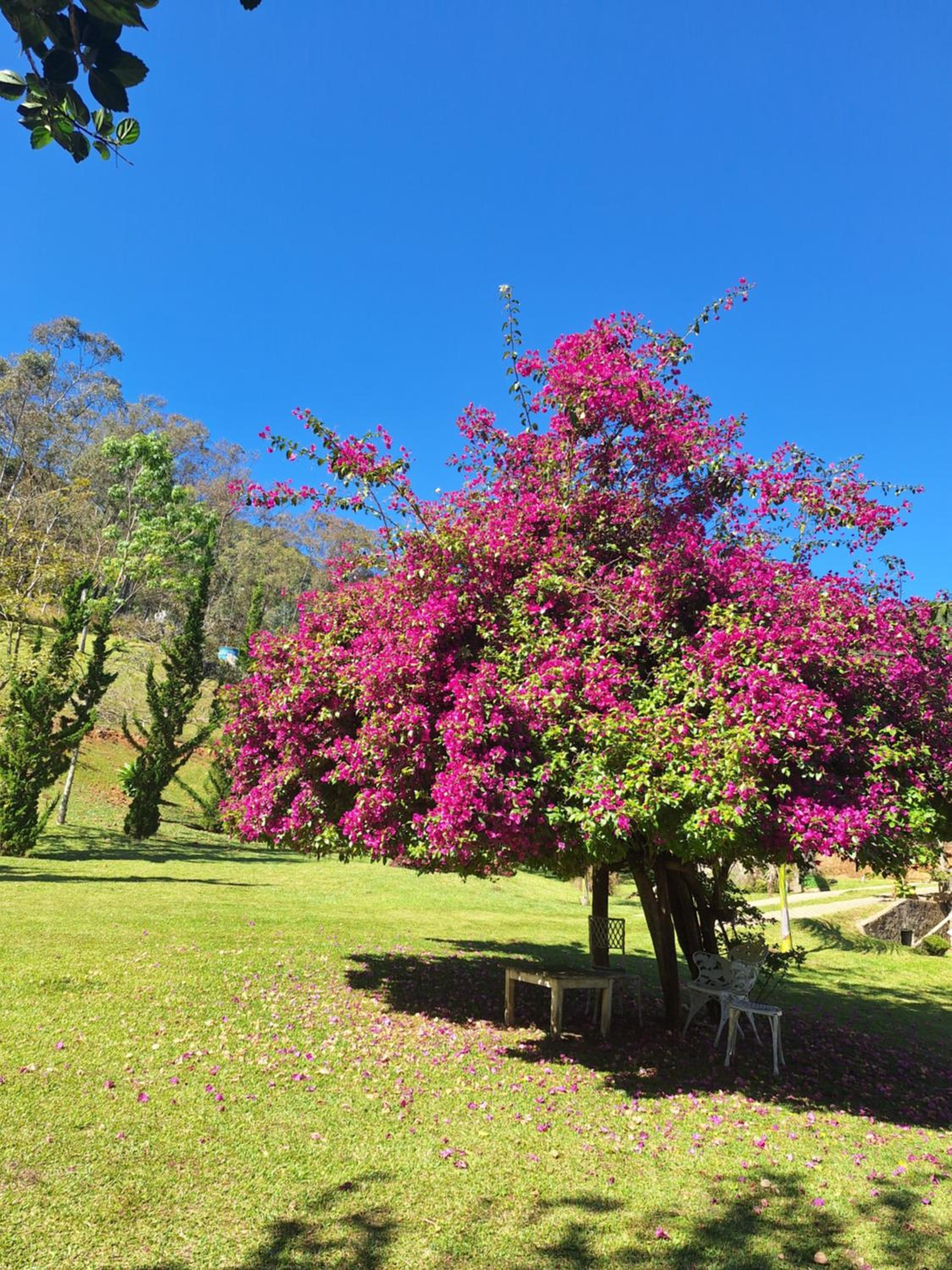Pousada VISTA LINDA