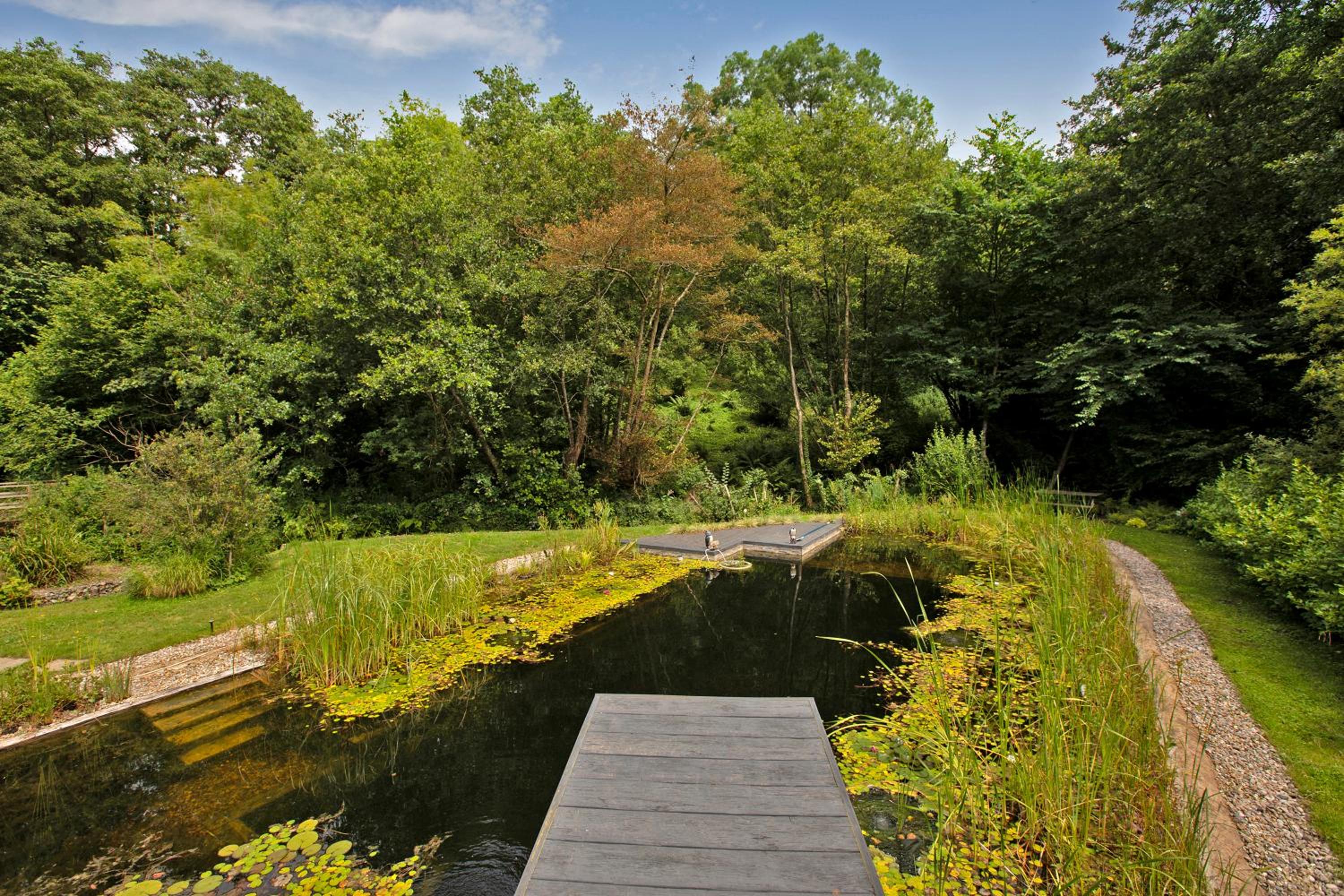 Idyllic country house & organic swim pond view 4