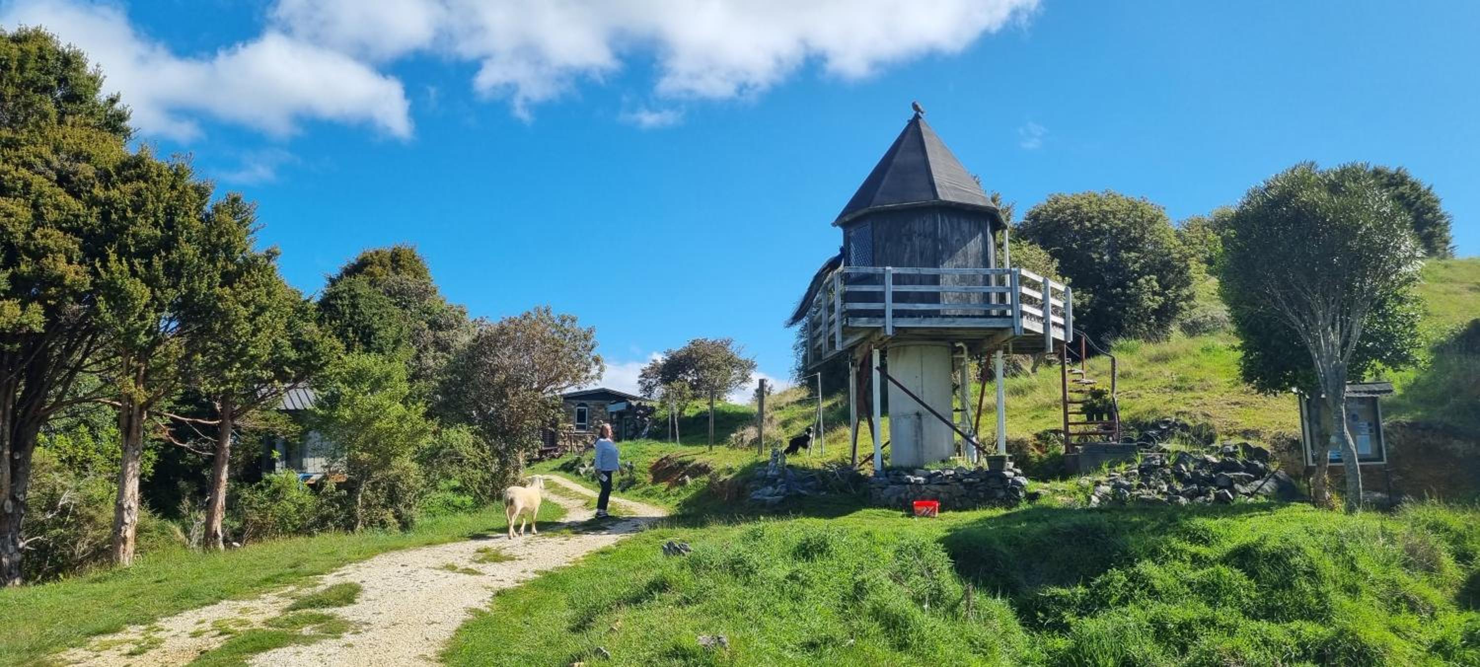 Pioneer Hut