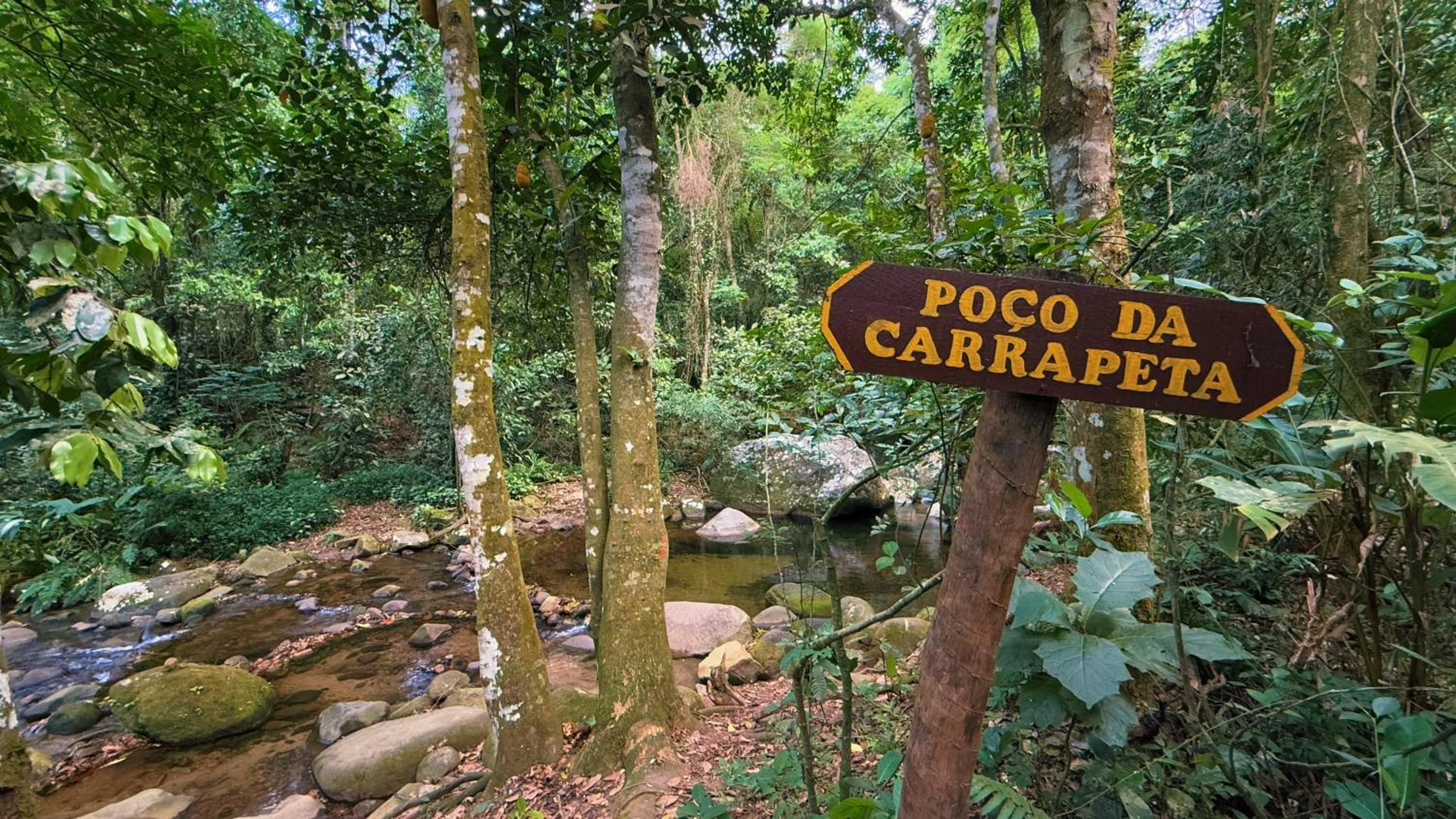 Casa da Floresta