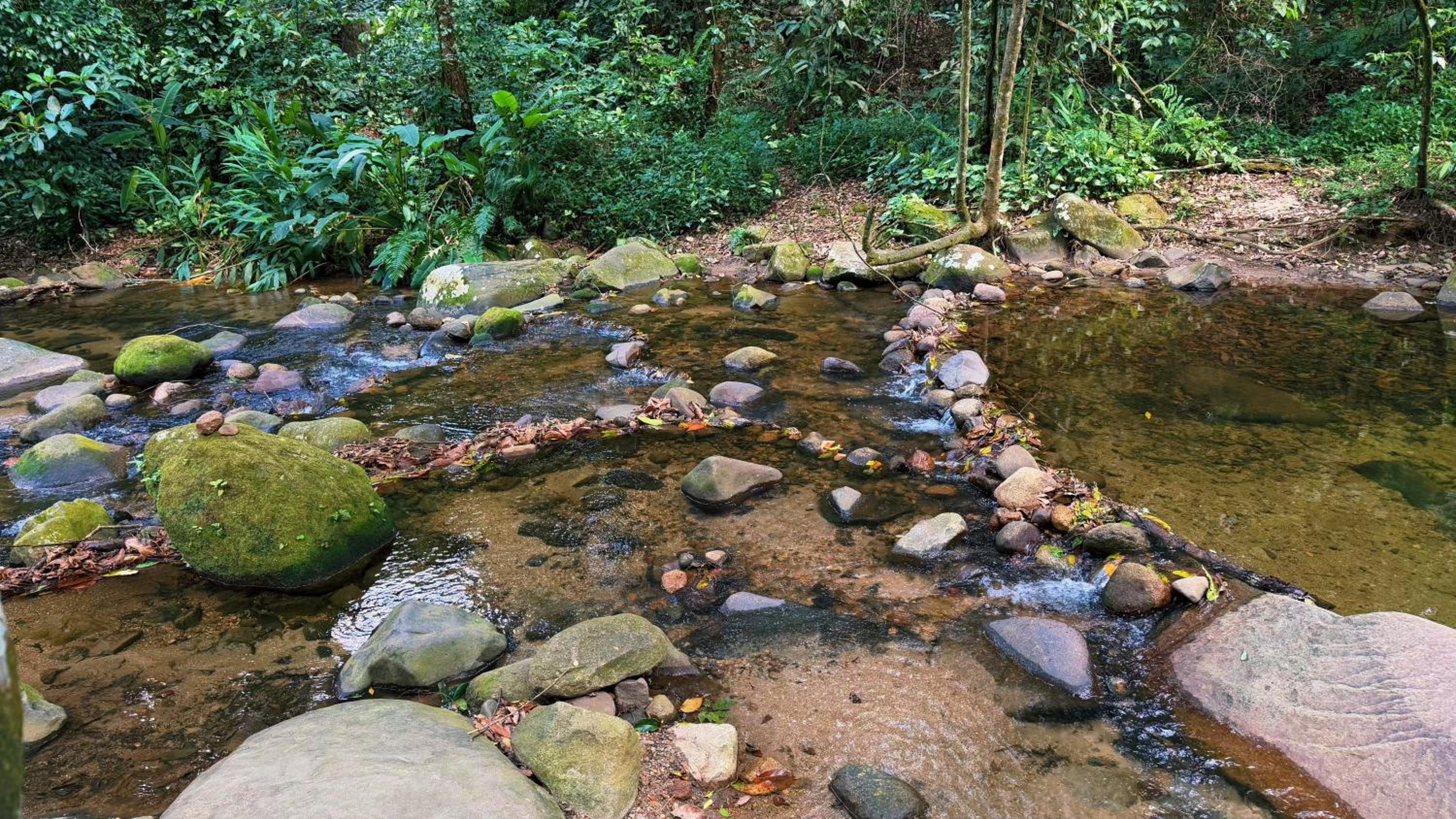 Casa da Floresta