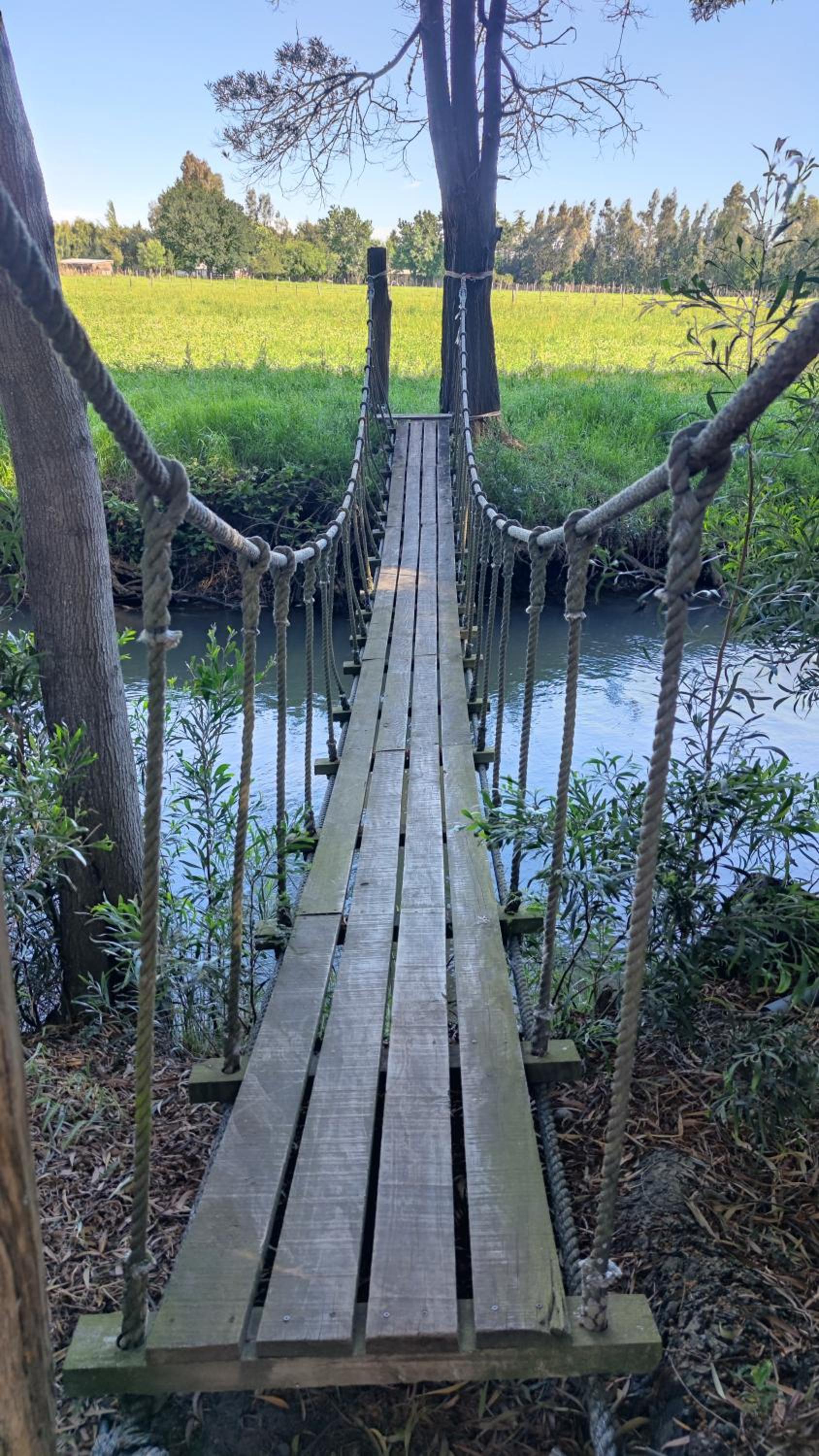 Cabaña las Araucarias