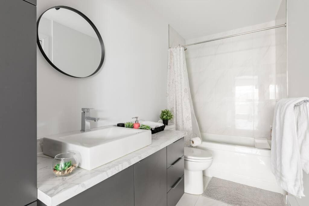 Logement neuf, spacieux